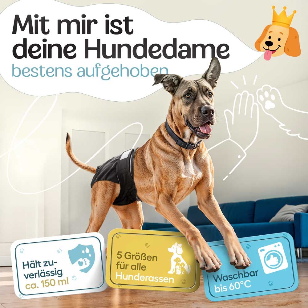 Hündin mit Windel. Text: Hält zuverlässig ca. 150 ml. 5 Größen für alle Hunderassen. Waschbar bis 60°C.