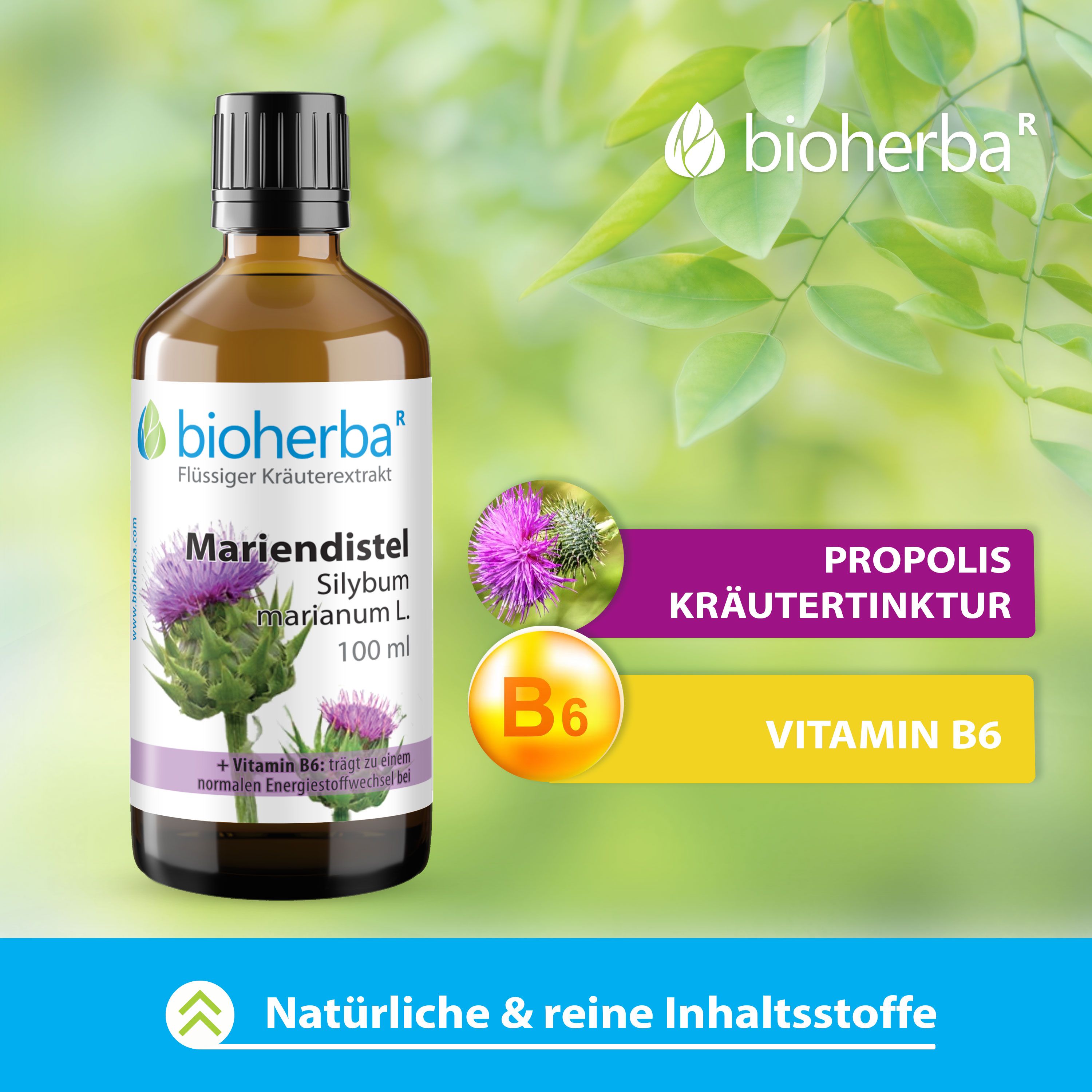 Braune Flasche Mariendistel Tinktur. Mit lila Blüten und Vitamin B6. Hersteller: Bioherba. Natürliche & reine Inhaltsstoffe.