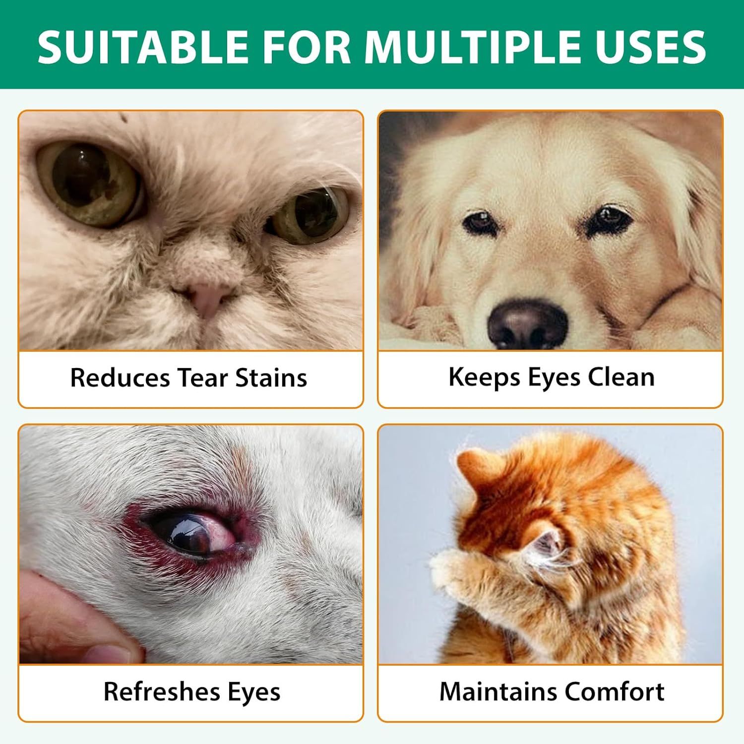 Bilder von Hunde- und Katzenaugen. Reduziert Tränenflecken, hält Augen sauber, erfrischt Augen, erhält Komfort.