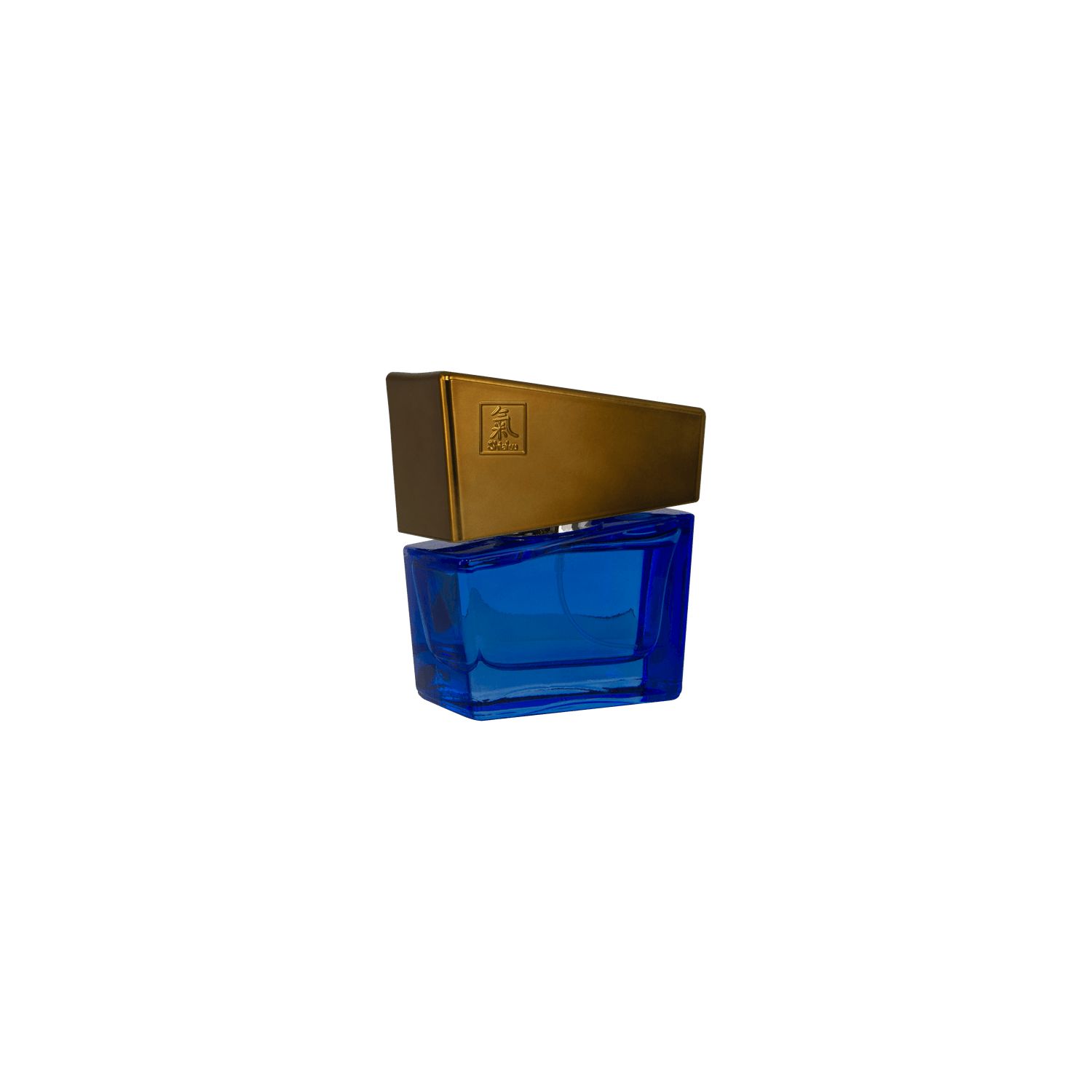 Pheromon Fragrance man darkblue