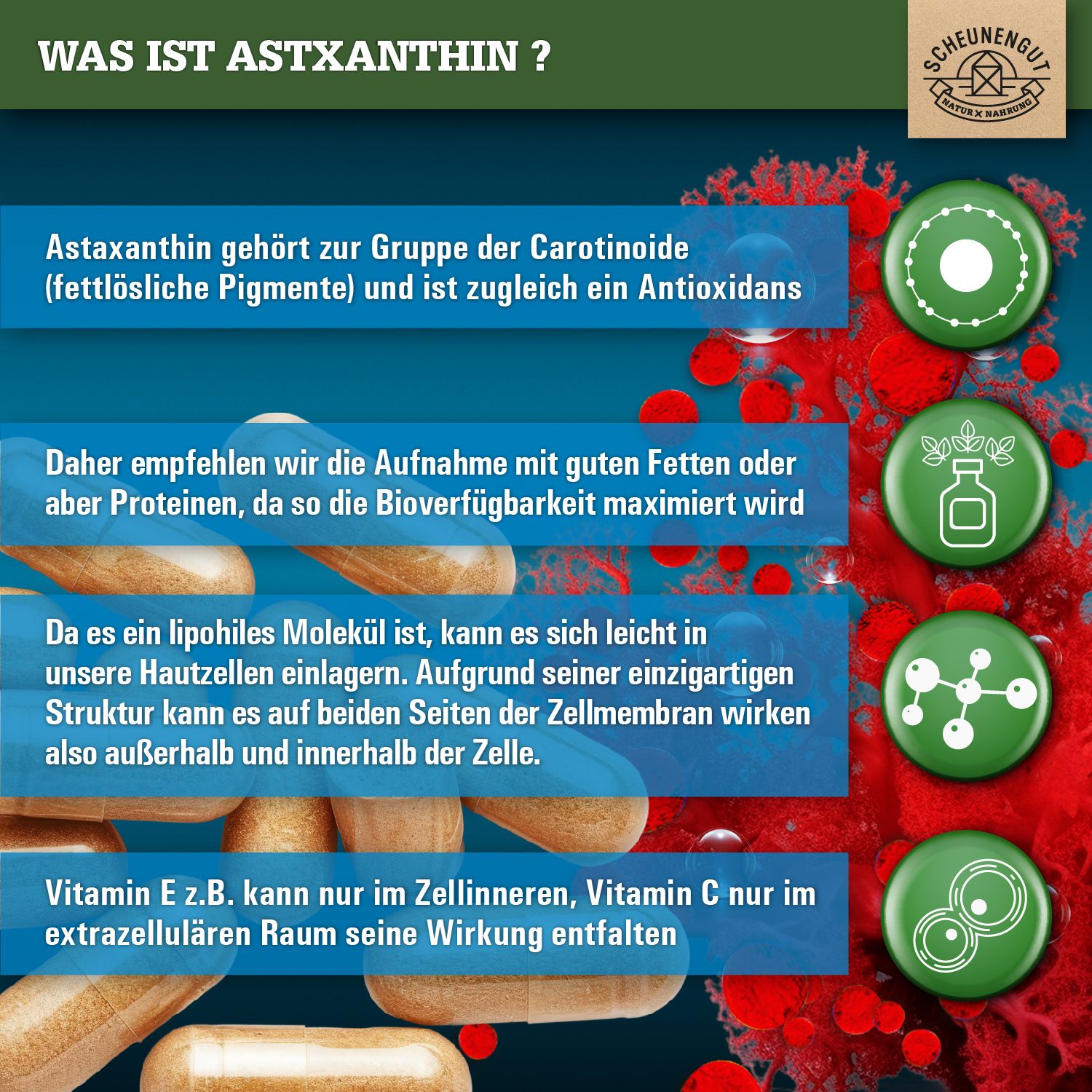 Scheunengut® Astaxanthin 12mg | 100% vegan | Antioxidans aus Blutregenalge Haematococcus Pluvialis