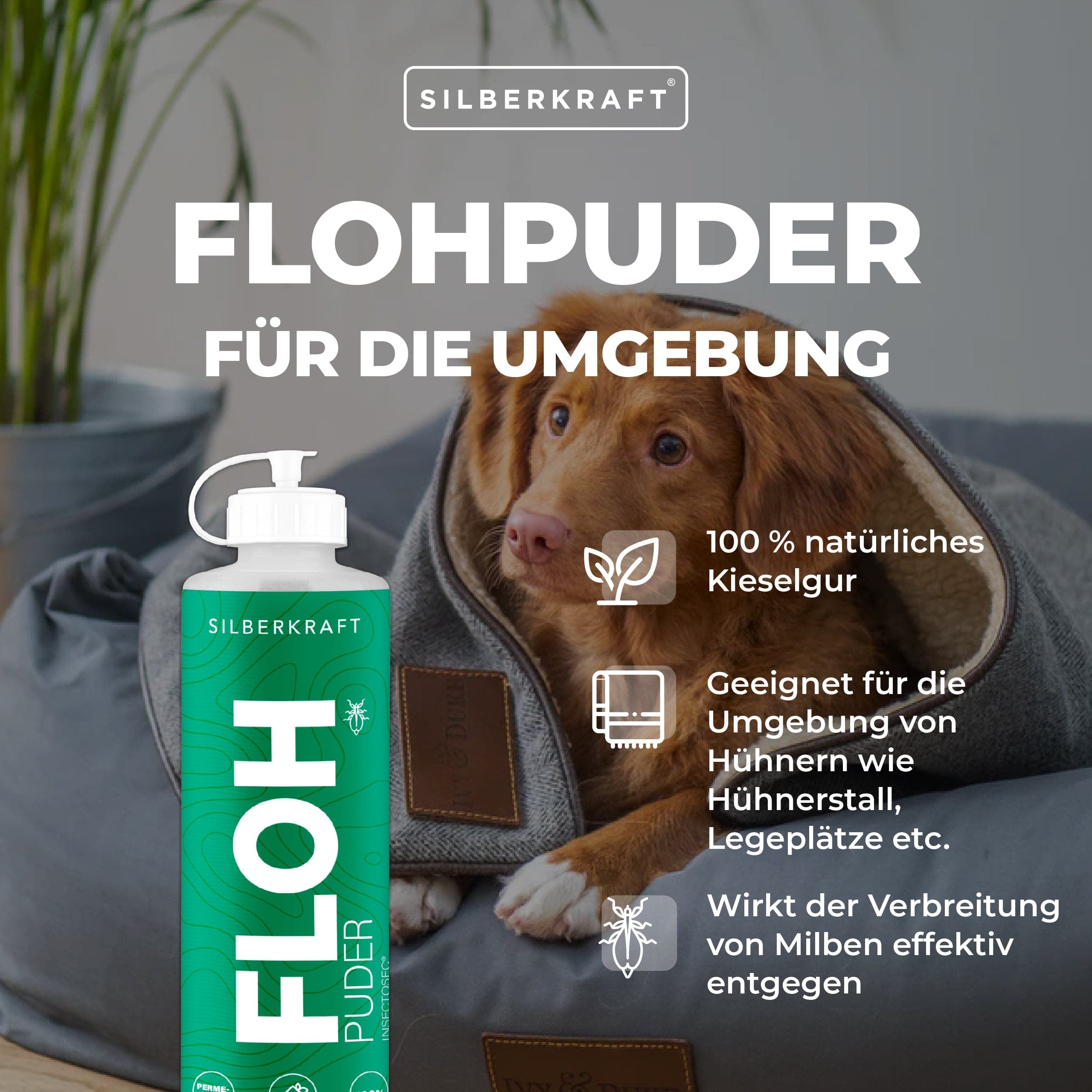 SILBERKRAFT Flohpuder Hund & Katze