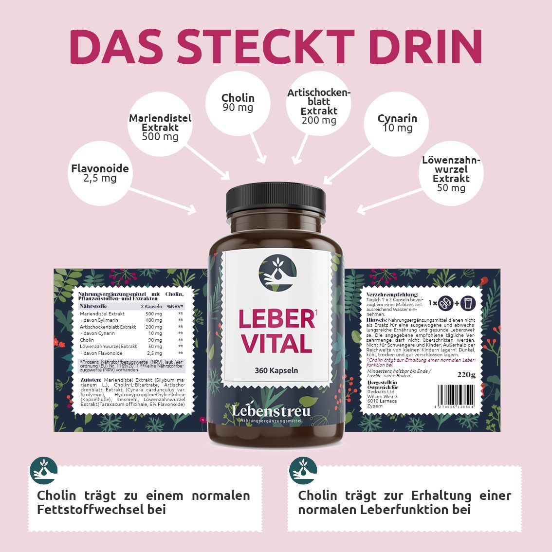 Braune Flasche mit Kapseln. Aufschrift: LEBER VITAL, 360 Kapseln. Inhaltsstoffe: Mariendistel, Artischocke, Löwenzahn, Cholin. Text: Cholin für Fettstoffwechsel.