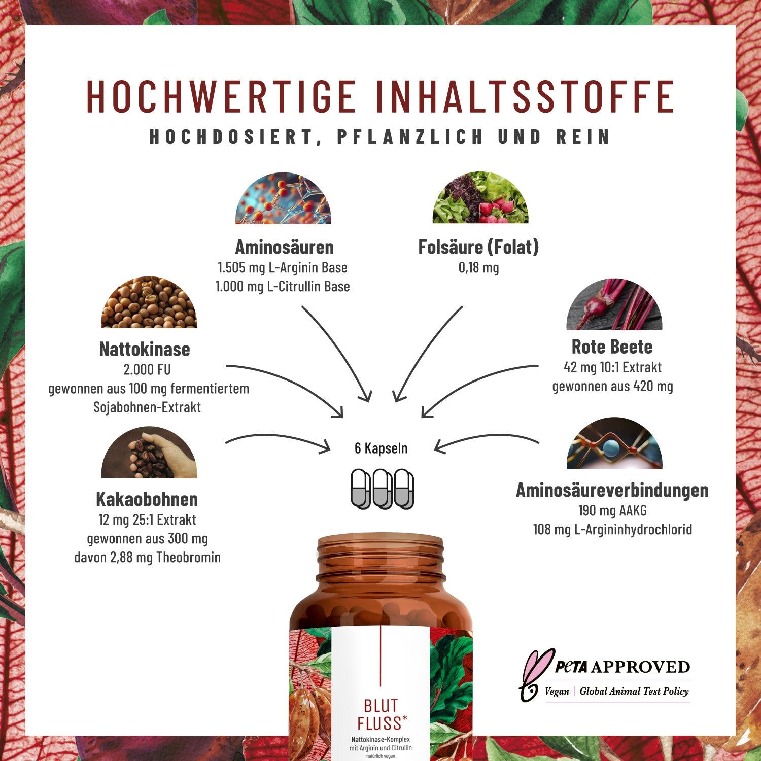 Grafik mit Inhaltsstoffen: Aminosäuren, Folsäure, Nattokinase, Kakaobohnen, Aminosäureverbindungen. 6 Kapseln. PETA APPROVED.