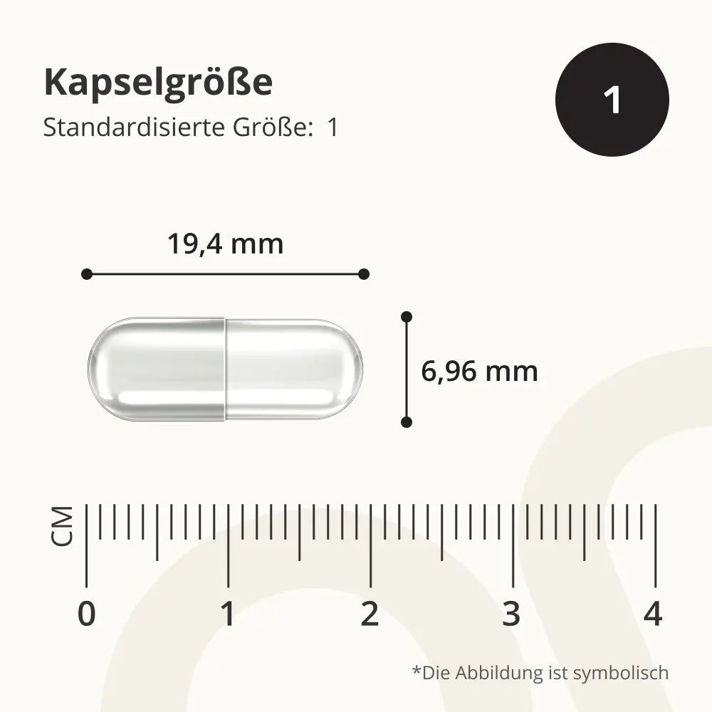 Kapselgröße: 19,4 mm Länge, 6,96 mm Breite, mit Skala.