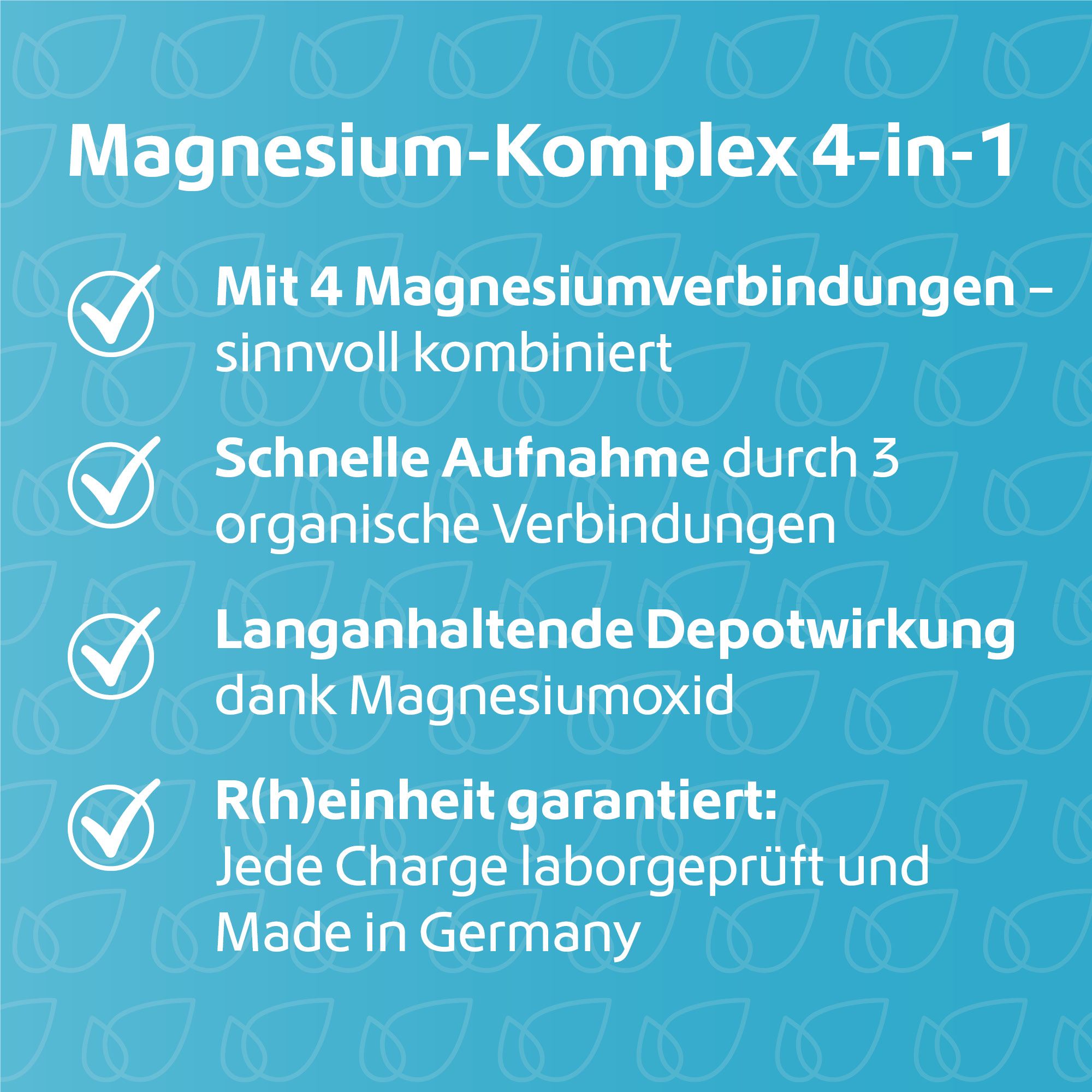 R(h)ein Nutrition Magnesium Komplex 4 in 1