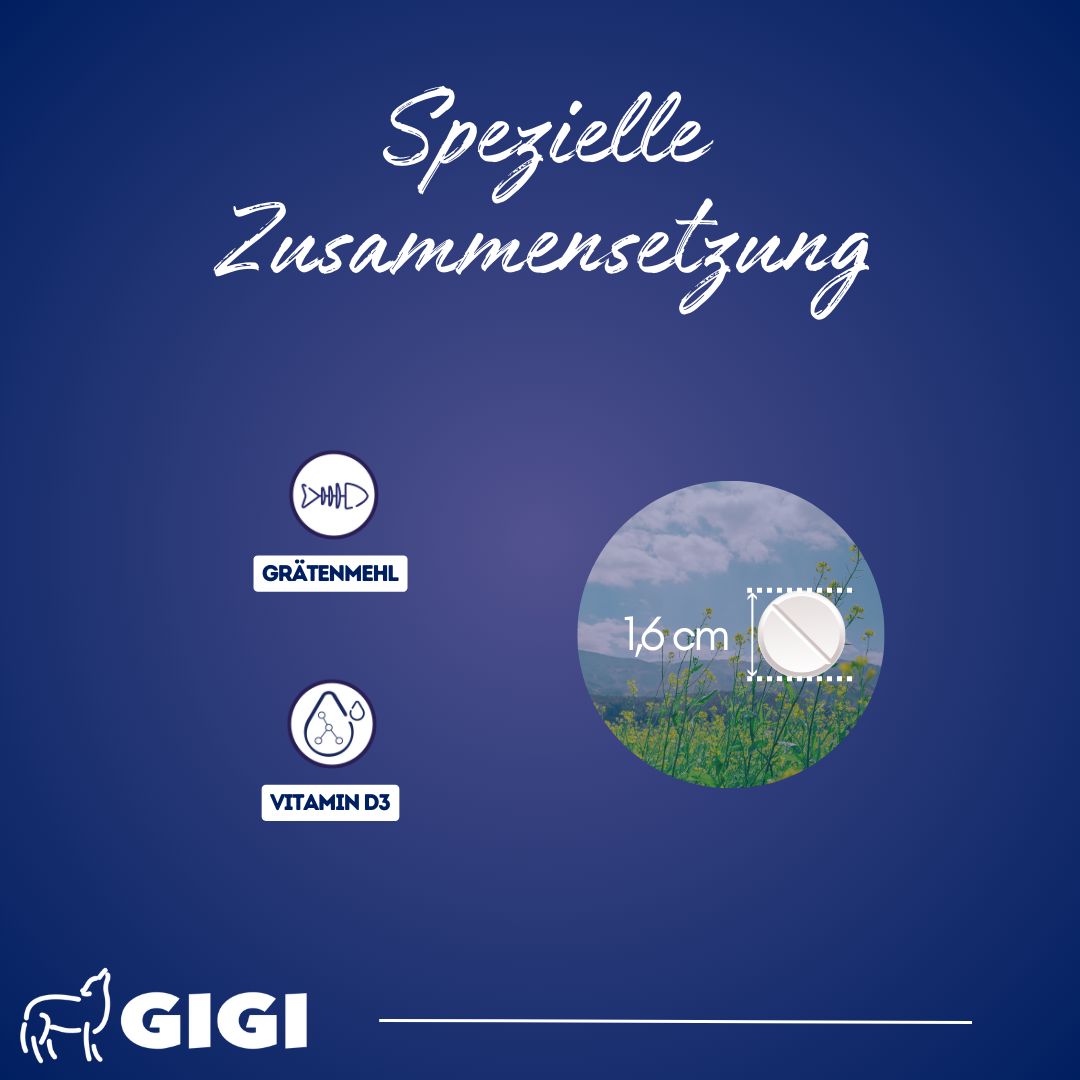 Nahaufnahme einer Tablette, 1,6 cm. Text: Spezielle Zusammensetzung. Inhaltsstoffe: Grätenmehl, Vitamin D3. GIGI Logo.