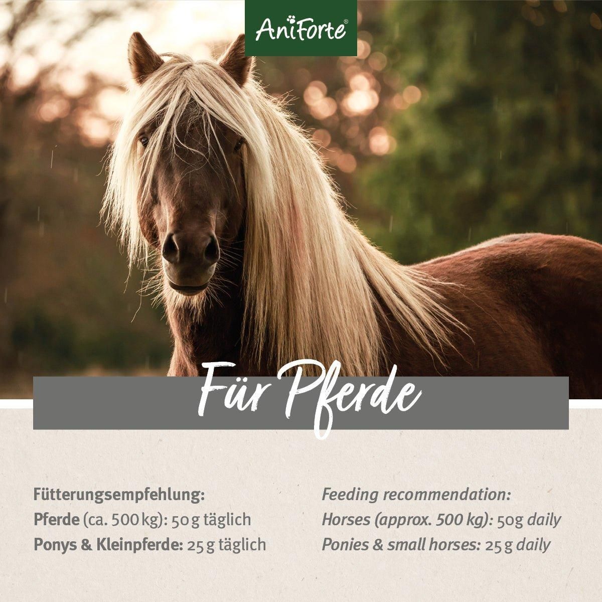 Pferd mit Text: Für Pferde. Fütterungsempfehlung: 50 g täglich. Ponys & Kleinpferde: 25 g täglich.