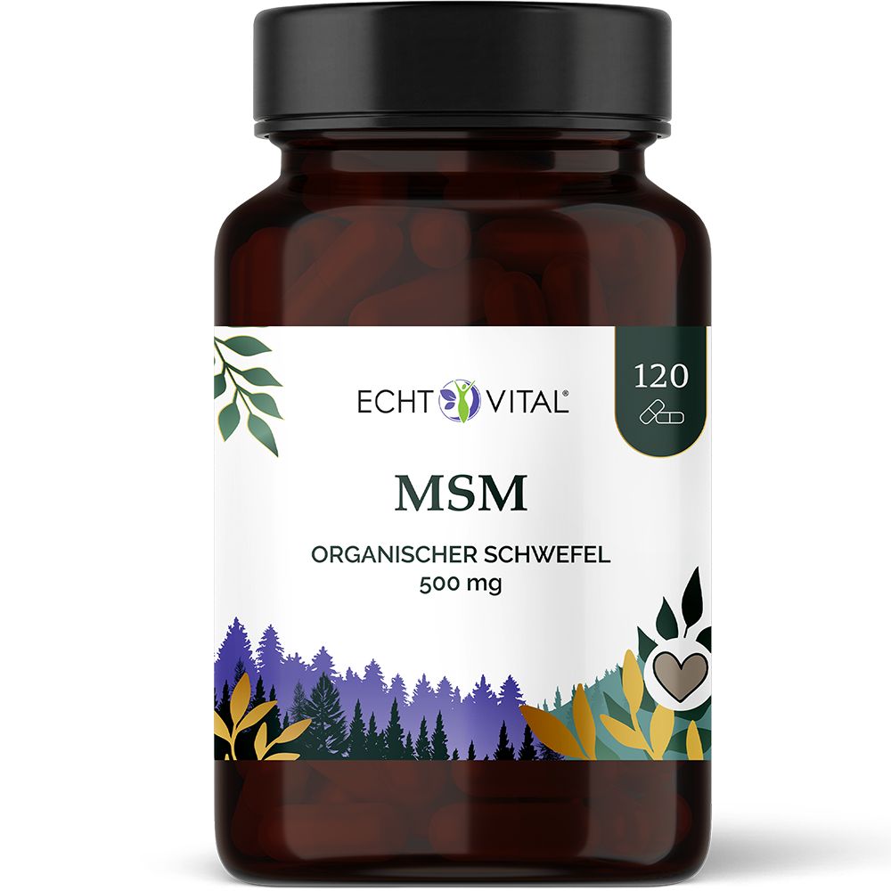 Echt Vital MSM Kapseln: Braunglasflasche mit schwarzem Deckel, Etikett zeigt MSM, 500 mg, organischen Schwefel.