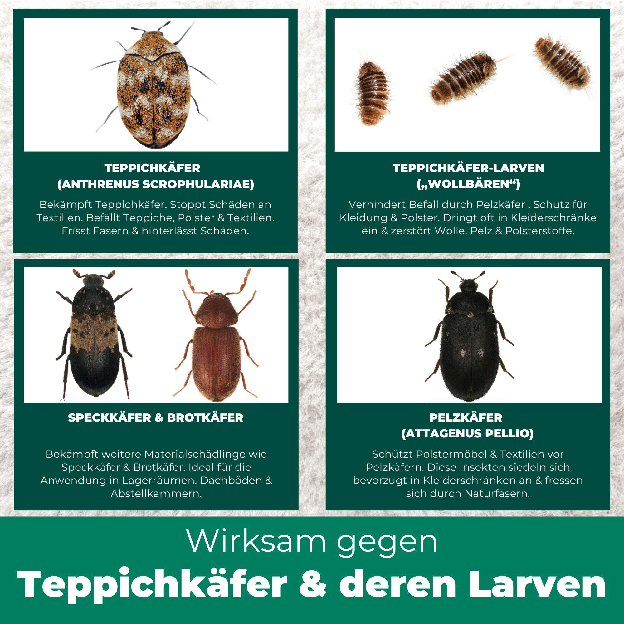 SILBERKRAFT Teppichkäferspray