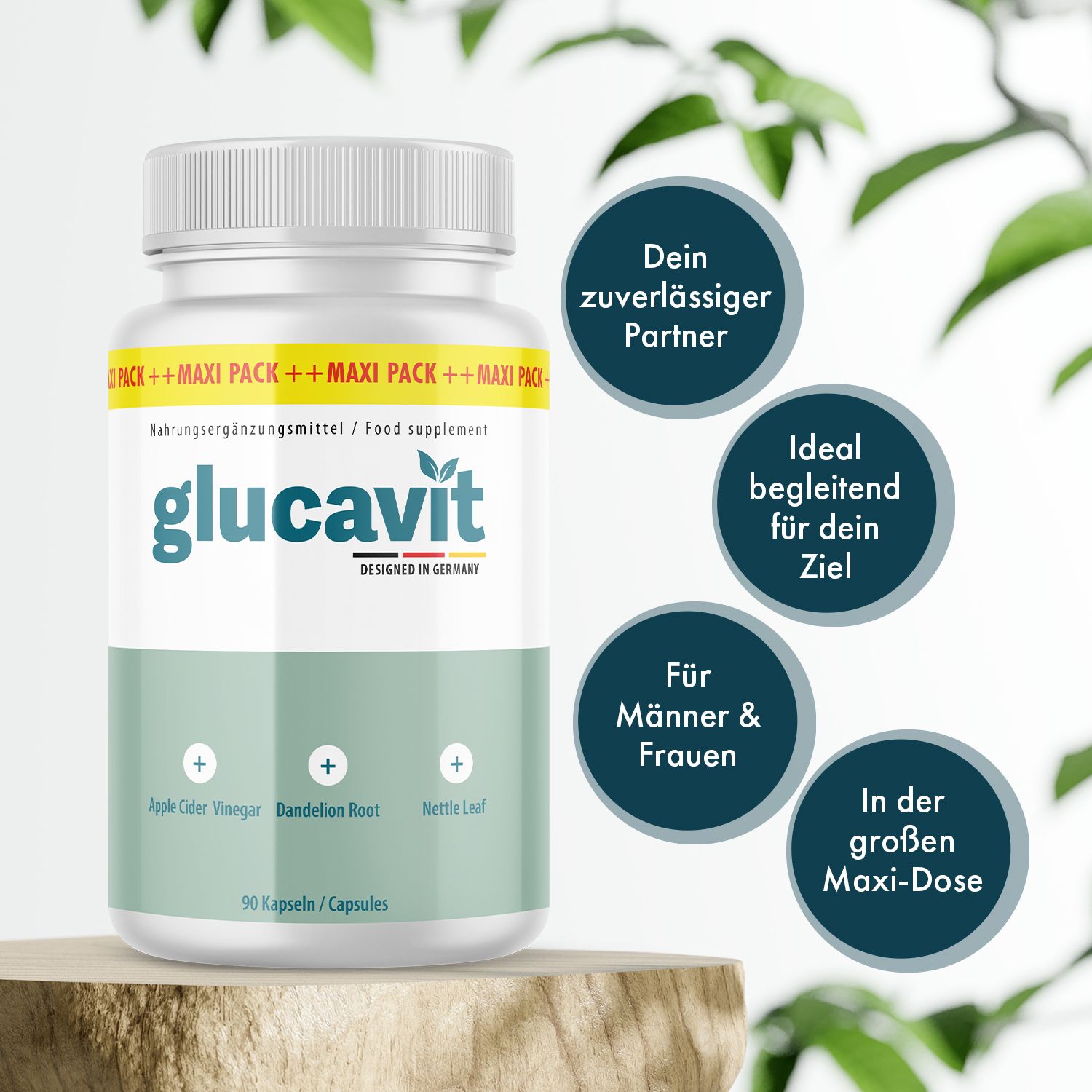 Glucavit Kapseln-Flasche auf Holzsockel. Text auf Kreisen: Dein zuverlässiger Partner, Ideal begleitend für dein Ziel, Für Männer & Frauen, In der großen Maxi-Dose.