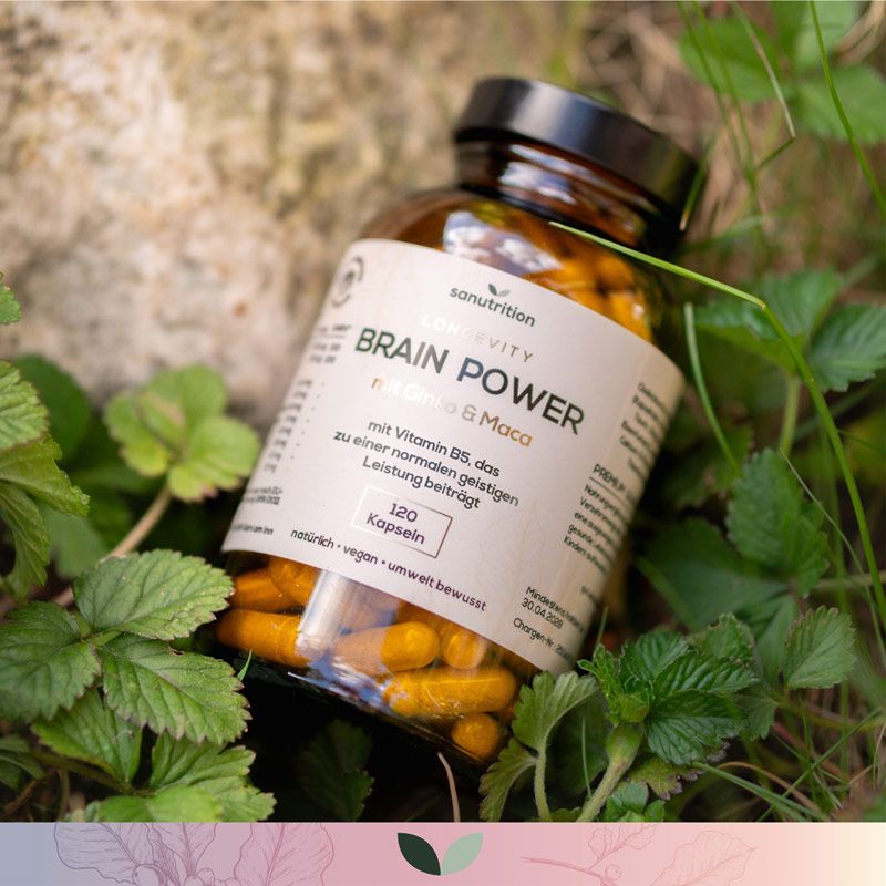 Braune Glasflasche mit Kapseln, umgeben von Grün. Etikett "Brain Power".