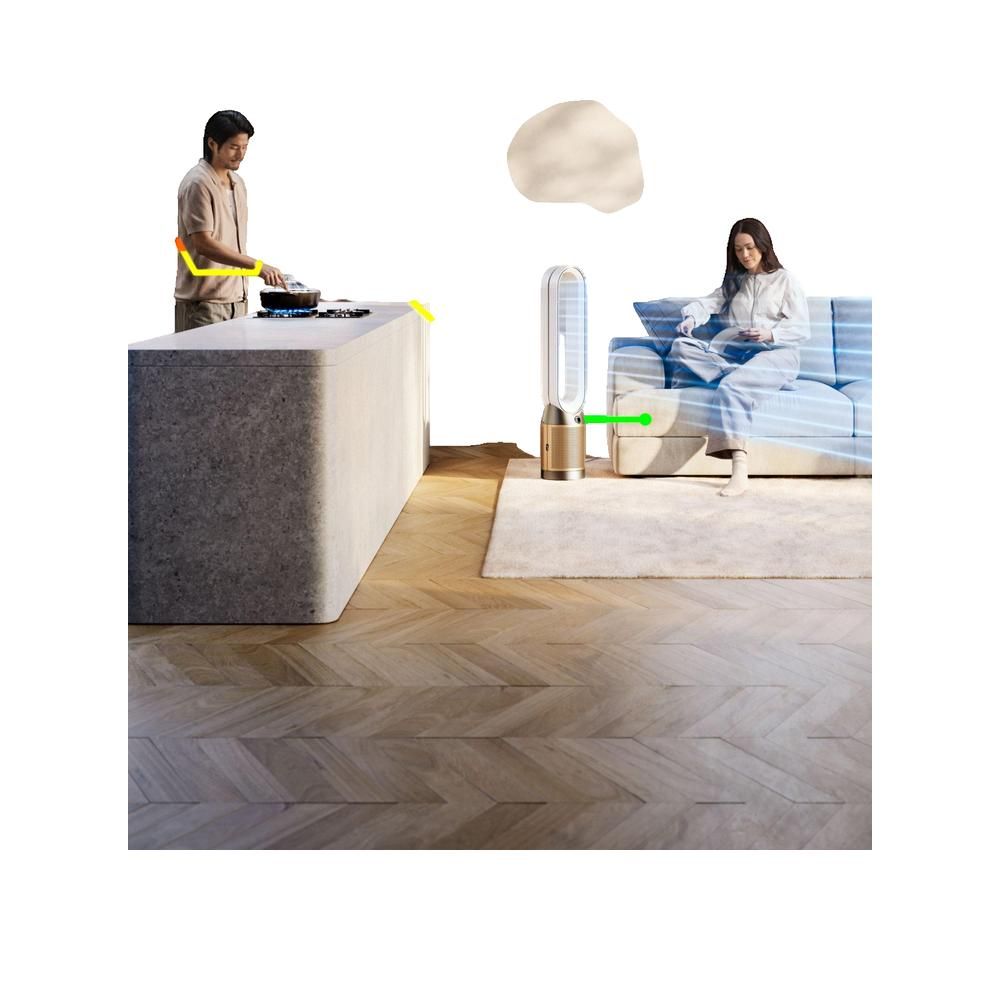 Dyson Cool PC2 De-NOx Luftreiniger