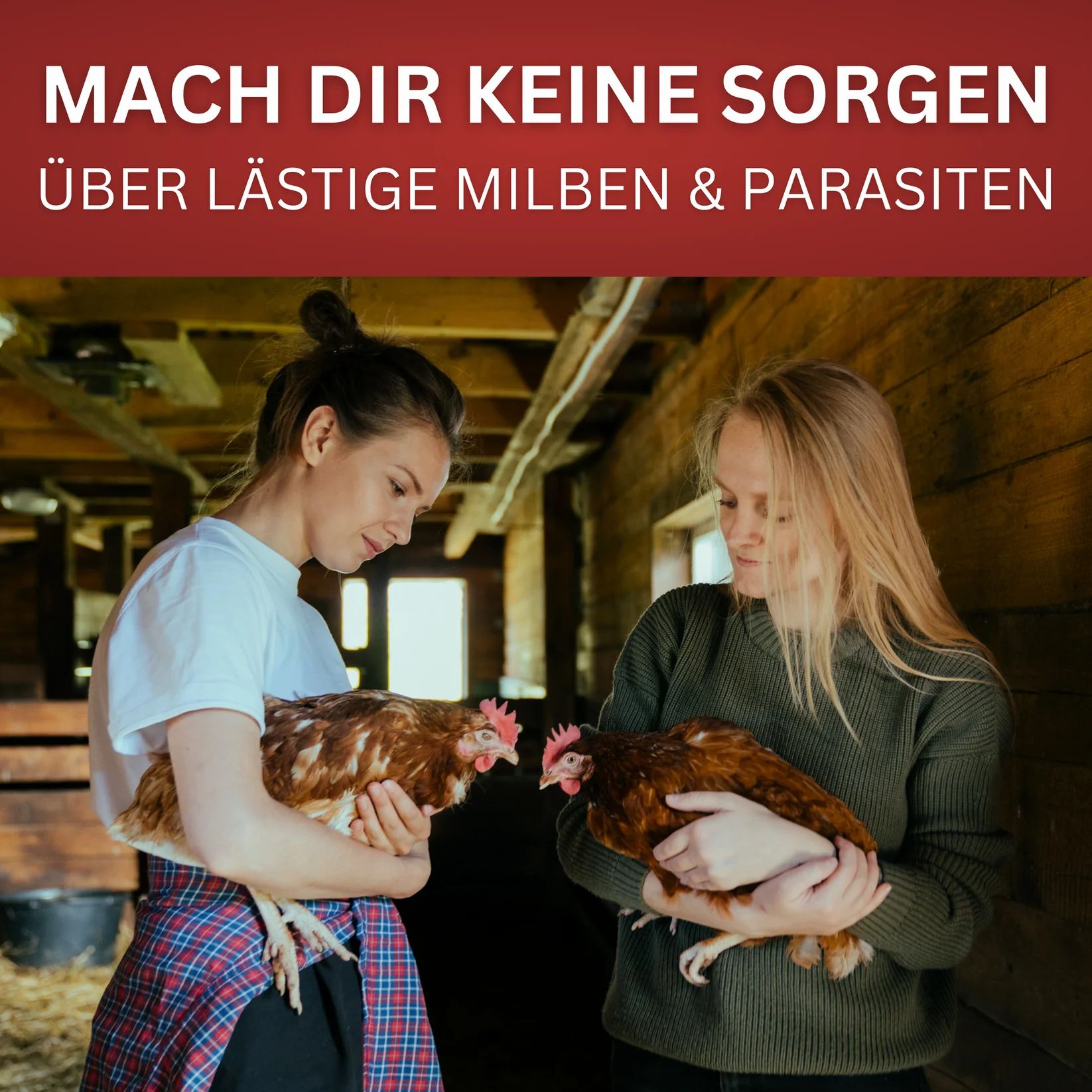 Zwei Frauen halten Hühner in einem Stall. Text: Mach dir keine Sorgen über lästige Milben & Parasiten.