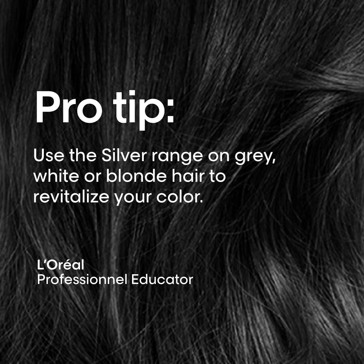 Text: Verwenden Sie die Silver-Reihe für graues, weißes oder blondes Haar, um Ihre Farbe zu revitalisieren. L'Oréal Professionnel Educator.