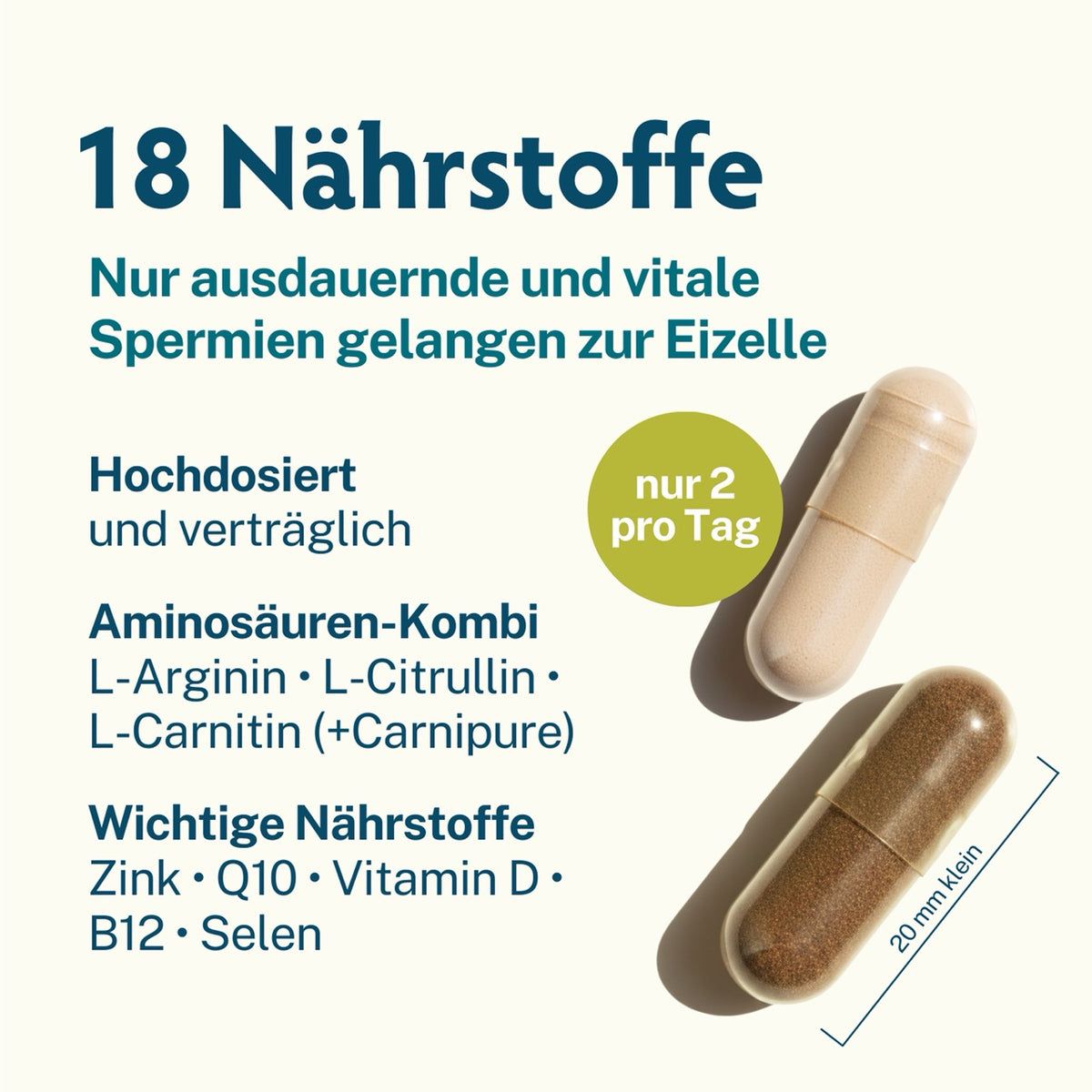 Zwei Kapseln, eine braun, eine beige, mit Größenangabe 20 mm.