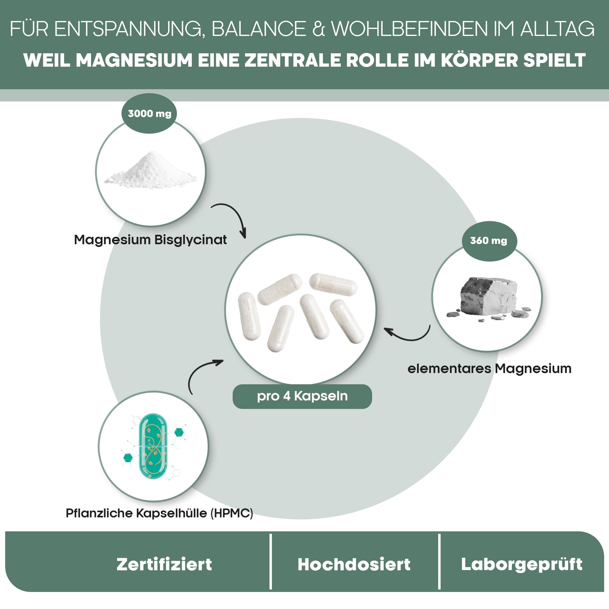Schema: Magnesium Bisglycinat, elementares Magnesium, pflanzliche Kapselhülle.