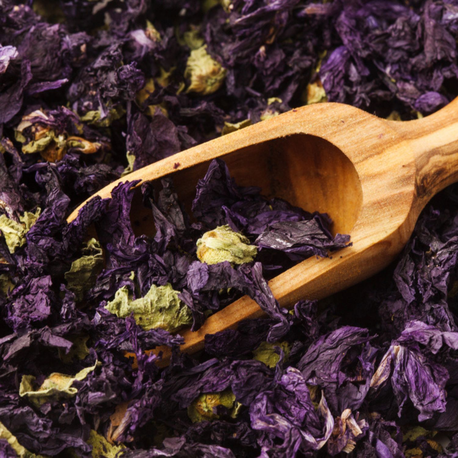 Nahaufnahme von getrockneten blauen Malvenblüten und grünen Knospen, mit Holzschaufel.