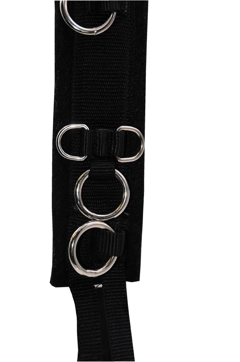 Nahaufnahme eines schwarzen Longiergurts mit silberfarbenen Ringen.