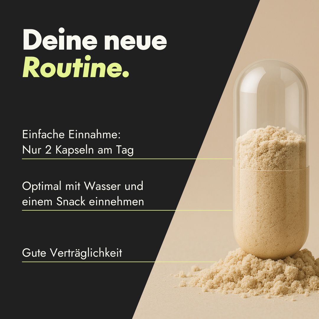 Kapsel mit Pulver. Text: Einfache Einnahme: Nur 2 Kapseln am Tag. Optimal mit Wasser und einem Snack einnehmen. Gute Verträglichkeit.