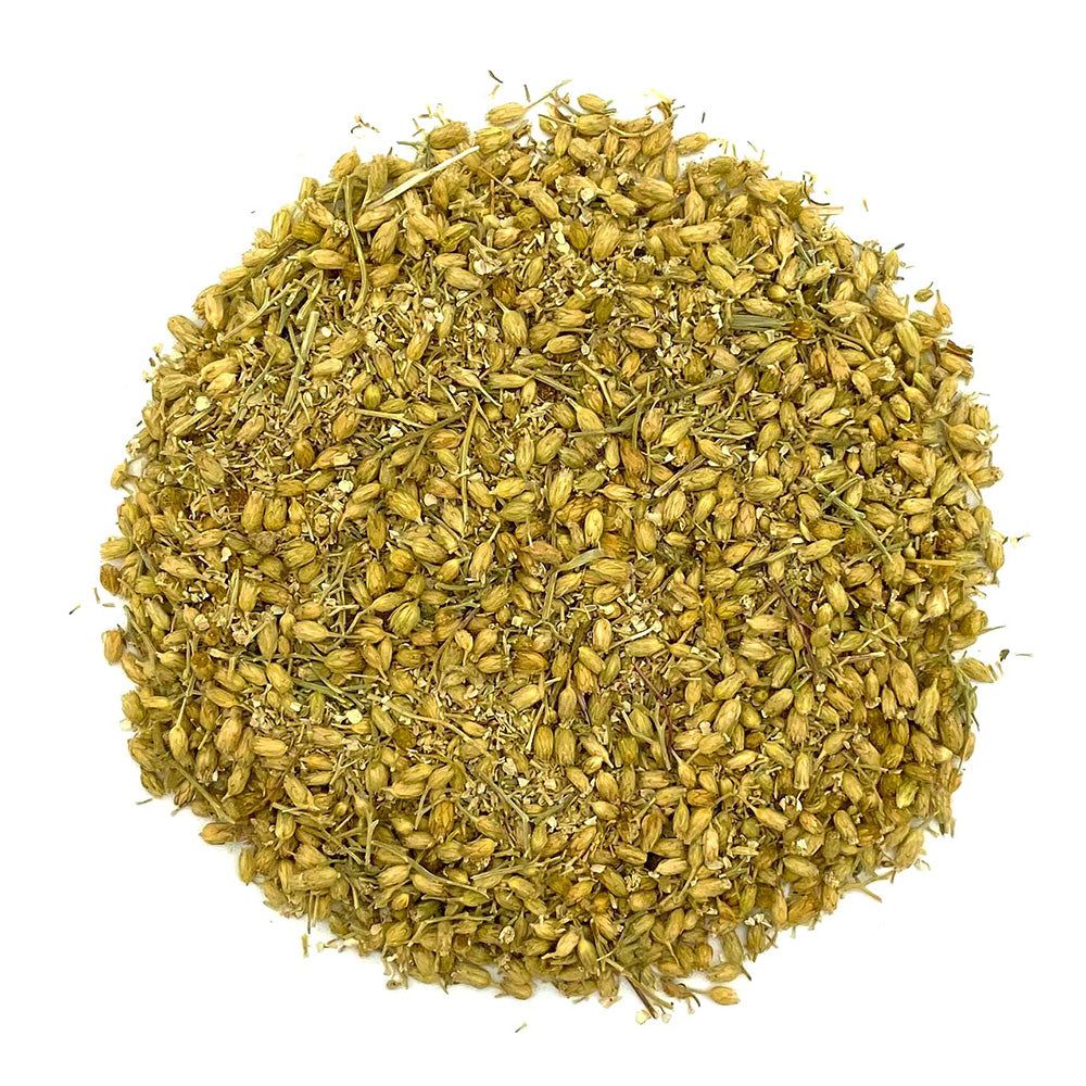 Haufen getrockneter Schafgarbenblüten und -stiele. Helle, beige-grüne Farbe. Detailaufnahme auf weißem Hintergrund.