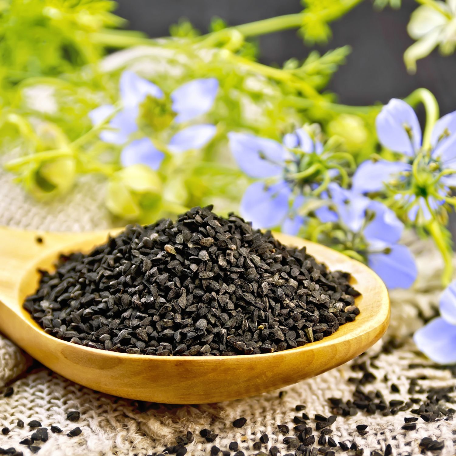 Holzlöffel mit Schwarzkümmelsamen, vor blau blühenden Pflanzen. Samen sind klein und schwarz.