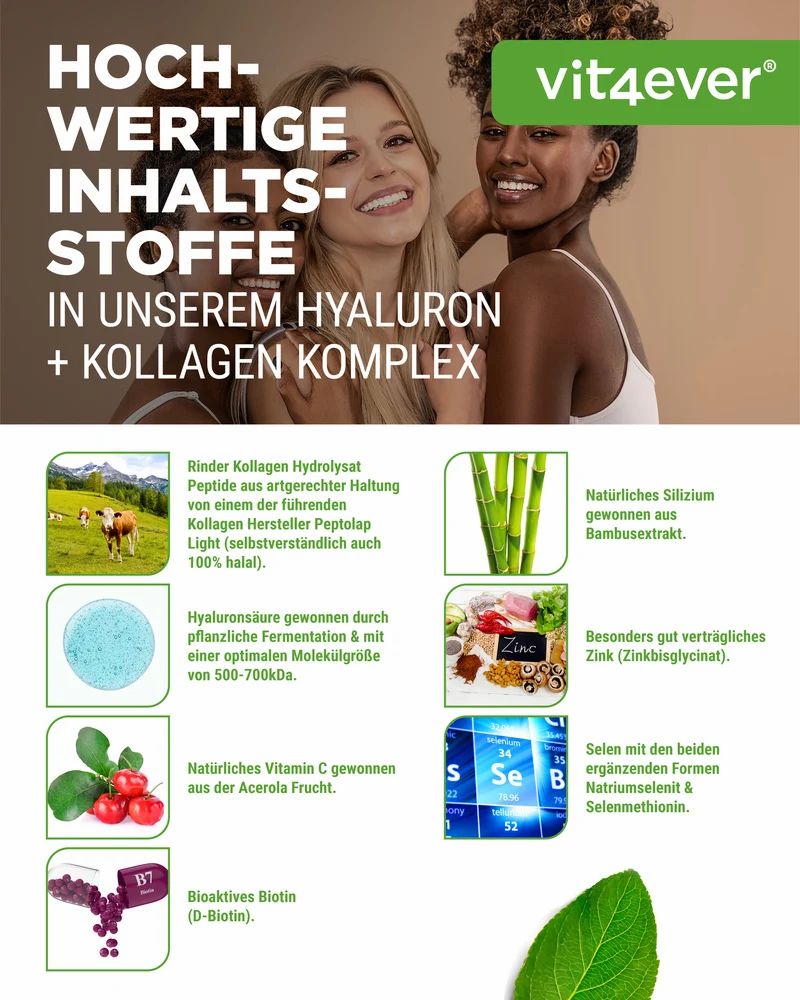 Vit4ever Hyaluron + Kollagen Komplex: Zutatenübersicht mit Rinderkollagen, Hyaluronsäure, Vitamin C, Biotin, Zink, Silizium.