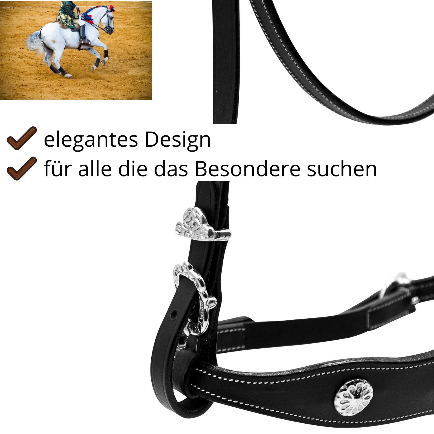 Schwarzer Zaum mit silberfarbenen Beschlägen. Detailansicht mit Ziernähten und Schnallen. Hintergrund: Pferd im Galopp.
