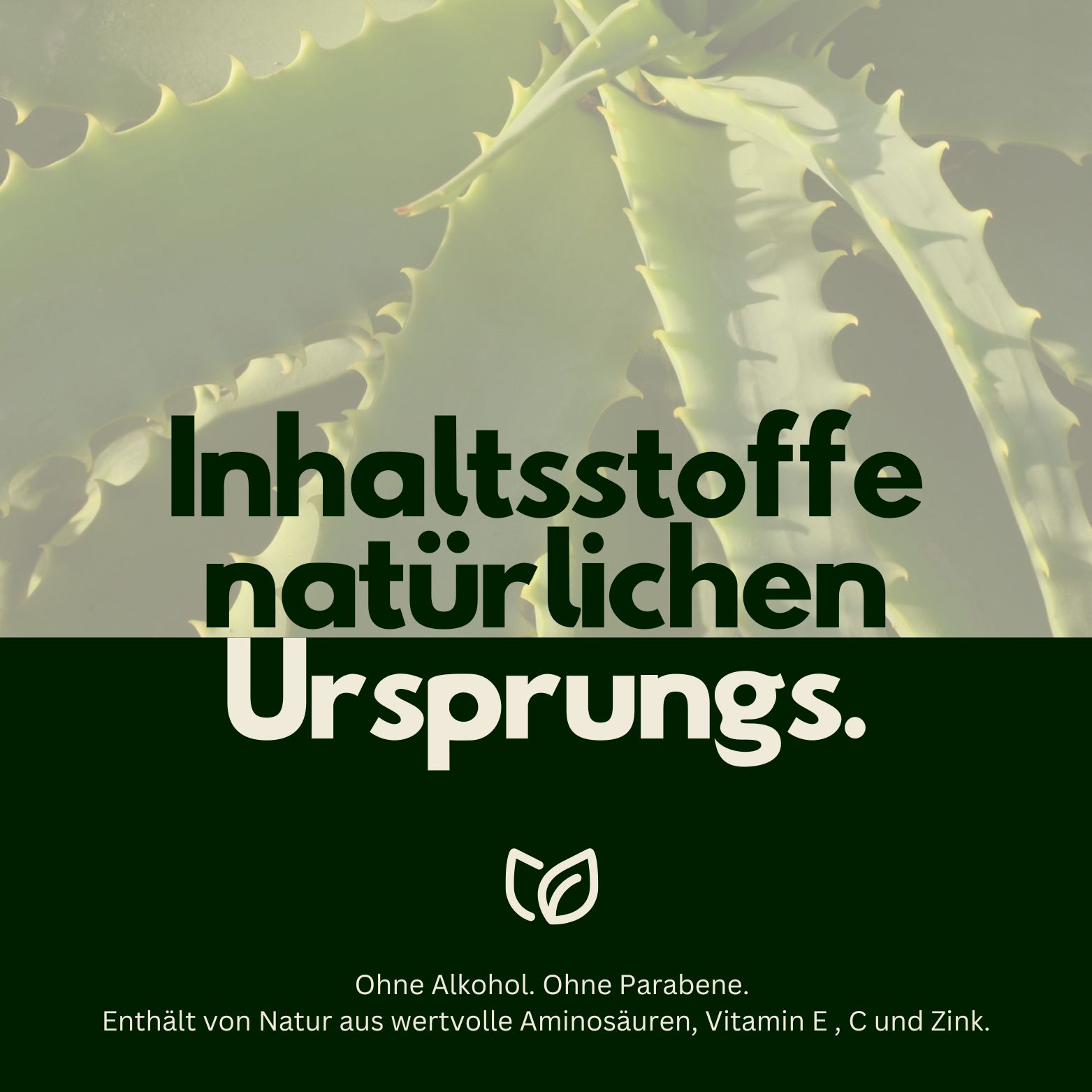 Flasche Hairfluencer Aloe Vera Spray mit Text "Inhaltsstoffe natürlichen Ursprungs".