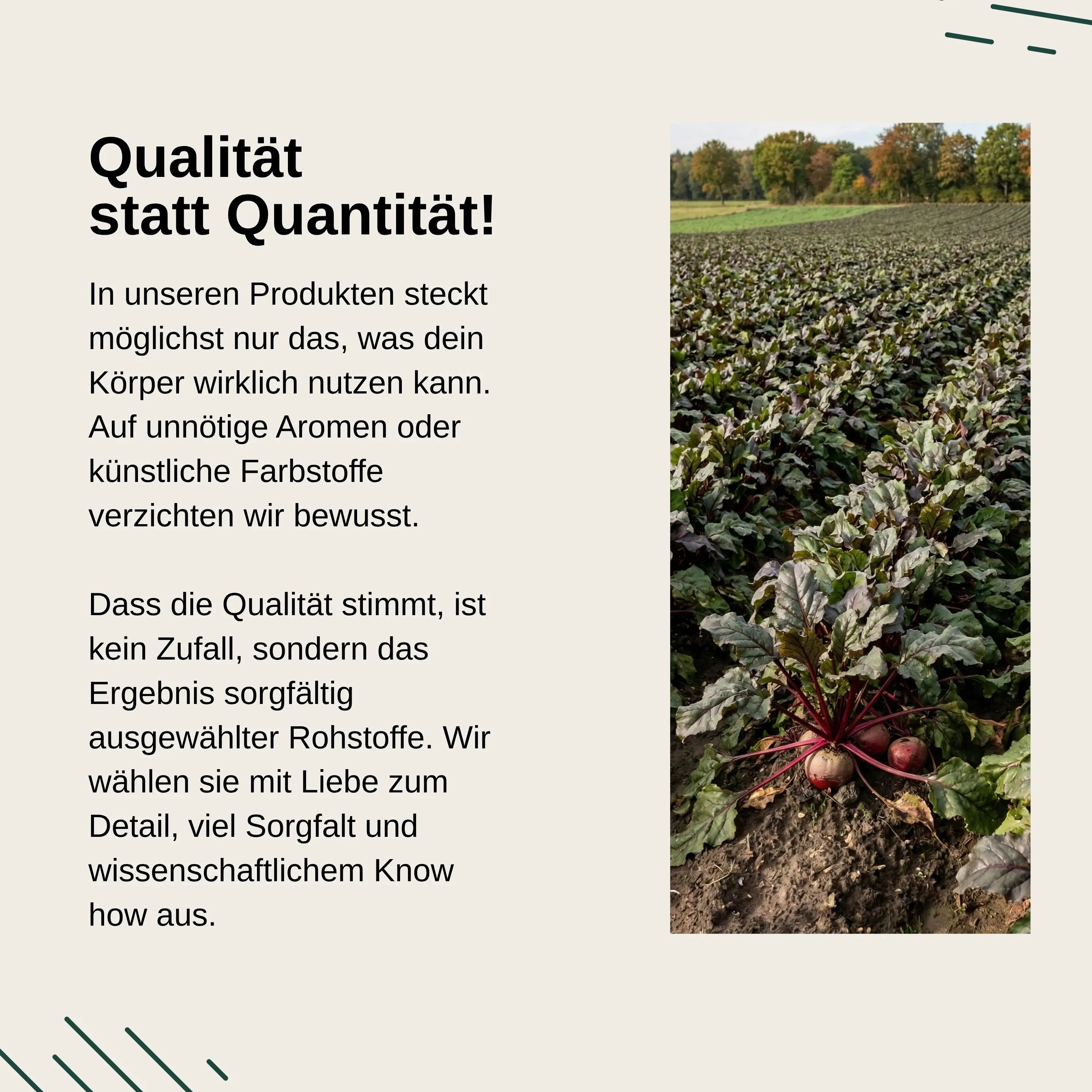 Rote Bete Feld mit Pflanzen. Vita Elements: Qualität statt Quantität, sorgfältig ausgewählte Rohstoffe.