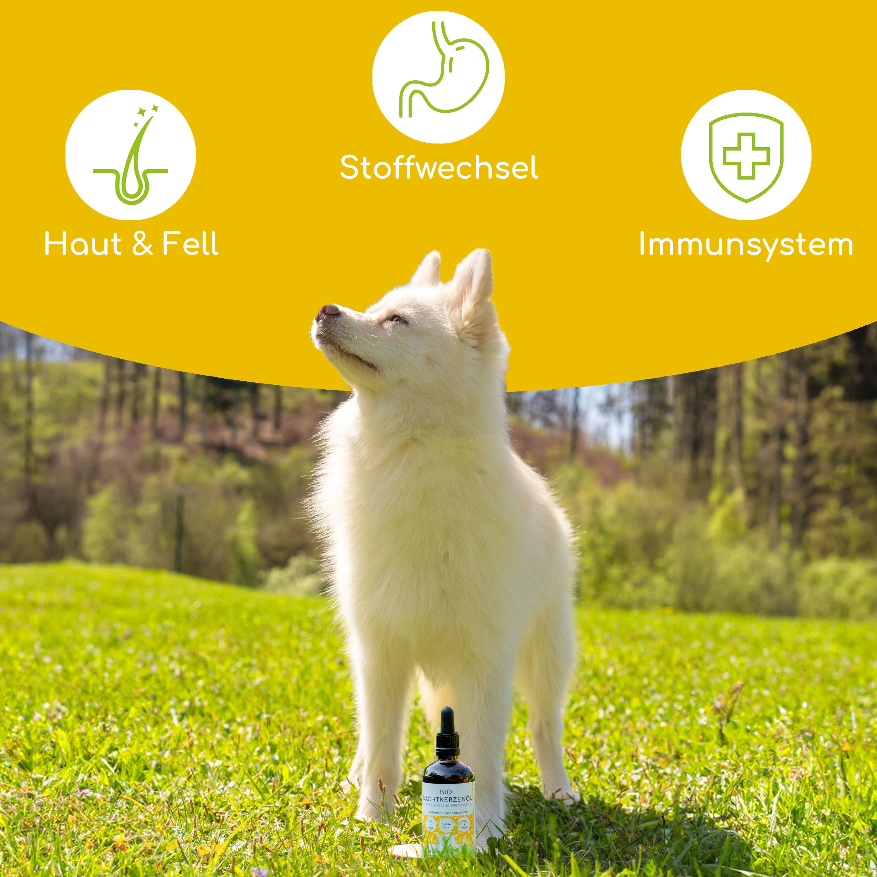 Helles Hund mit Tropfflasche. Aufschrift: Wolfsbacher Natur. Symbole: Haut & Fell, Stoffwechsel, Immunsystem.
