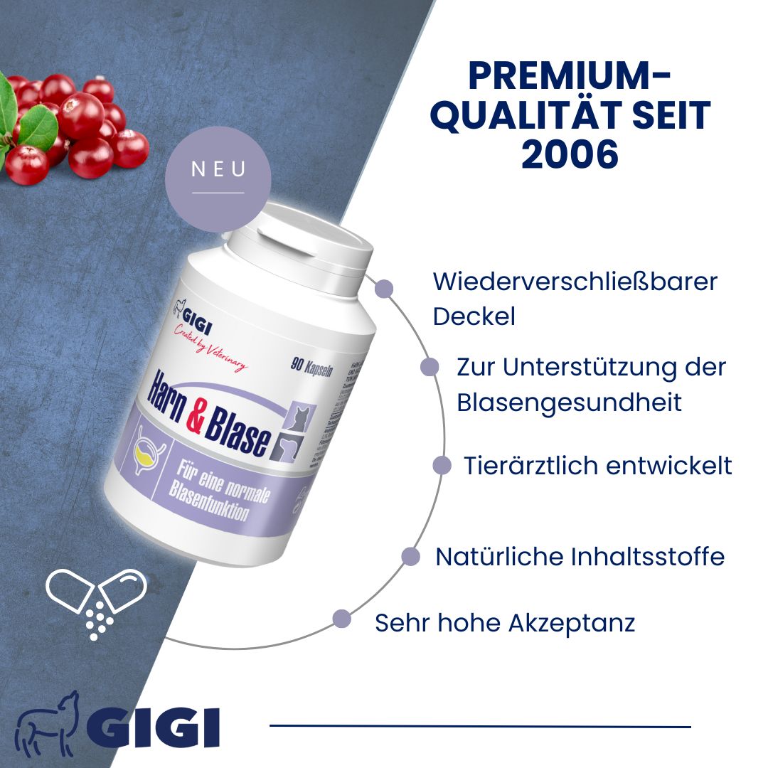 Weiße Flasche mit "Harn & Blase". 90 Kapseln. Text: "Premium-Qualität seit 2006".