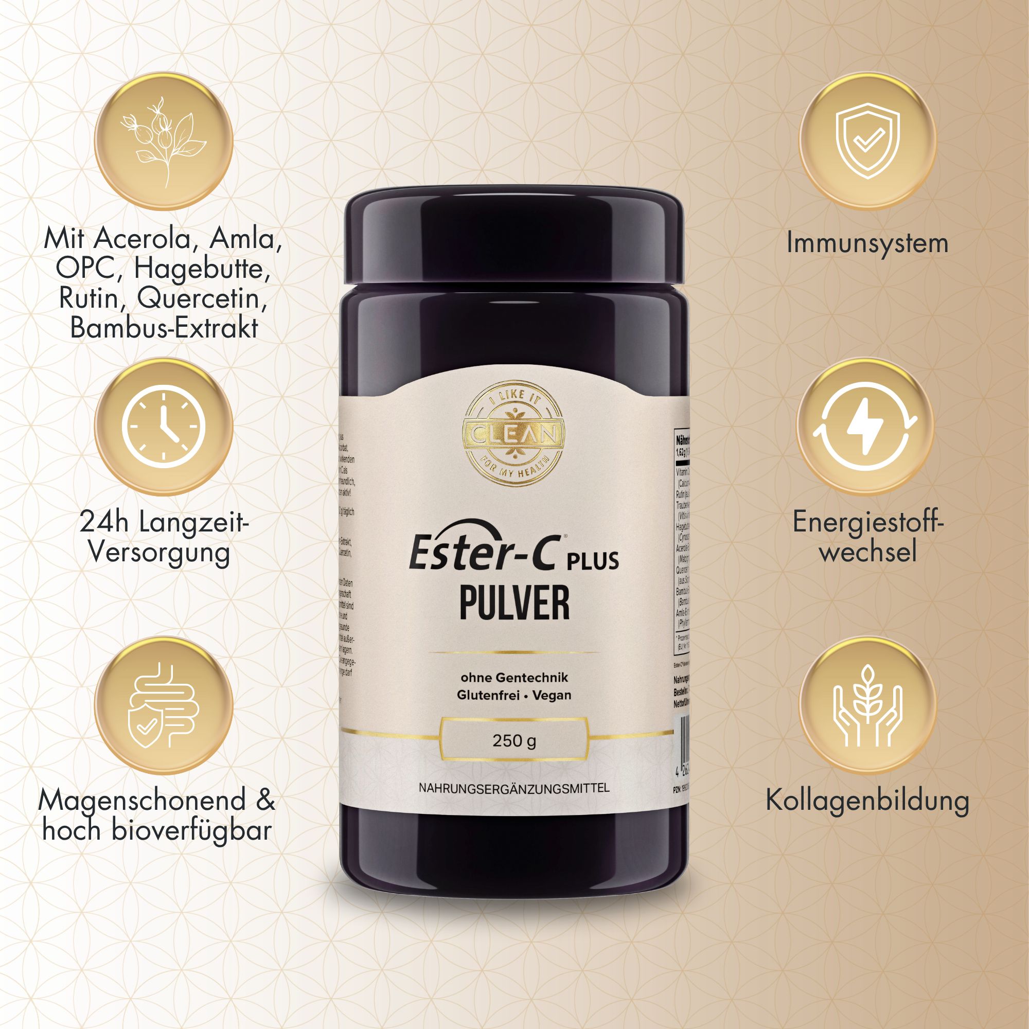 Dunkle Dose mit Ester-C Plus Pulver. Aufschrift: ohne Gentechnik, glutenfrei, vegan. 250 g. Umgeben von Icons und Text.