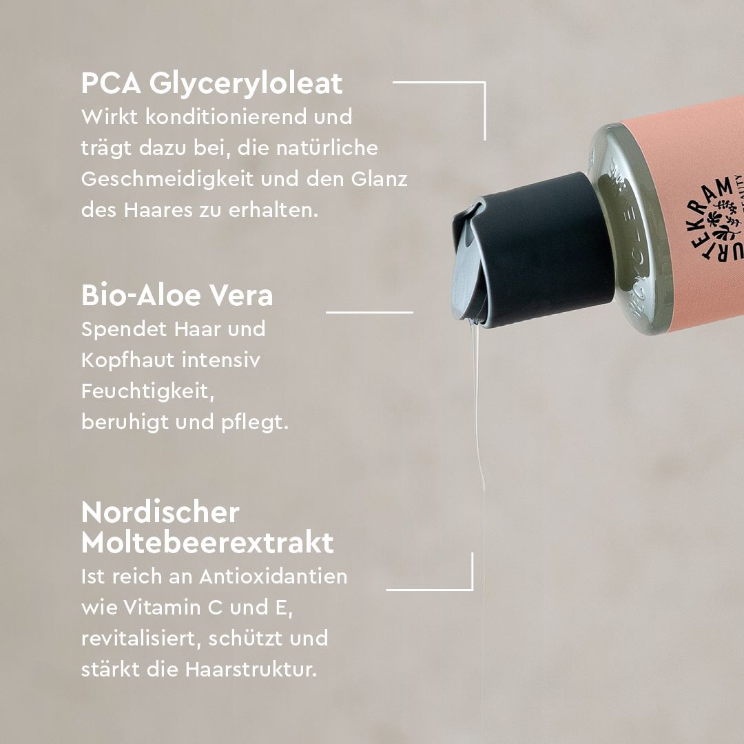 Urtekram Haar Shampoo und Conditioner Set Nordic Berry für geschädigtes Haar