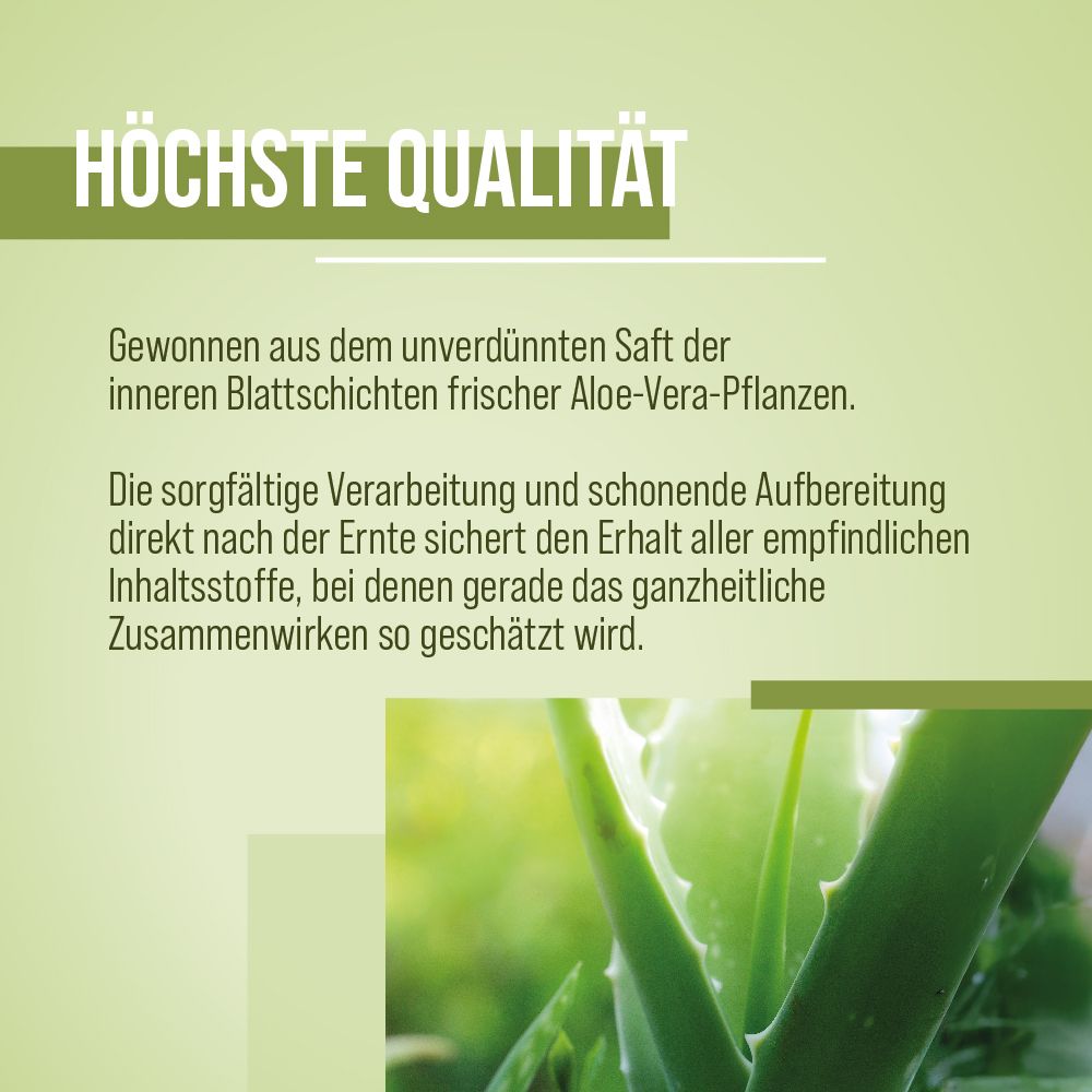 Sanct Bernhard Aloe-Vera-Trinkgel unverdünnt