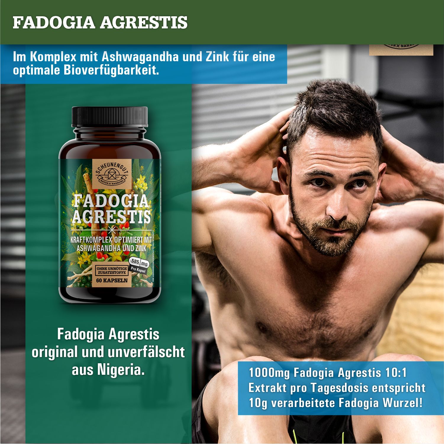 Mann trainiert. Braune Flasche mit Produktetikett. Fadogia Agrestis, Ashwagandha und Zink. Text: 1000mg Fadogia Agrestis.