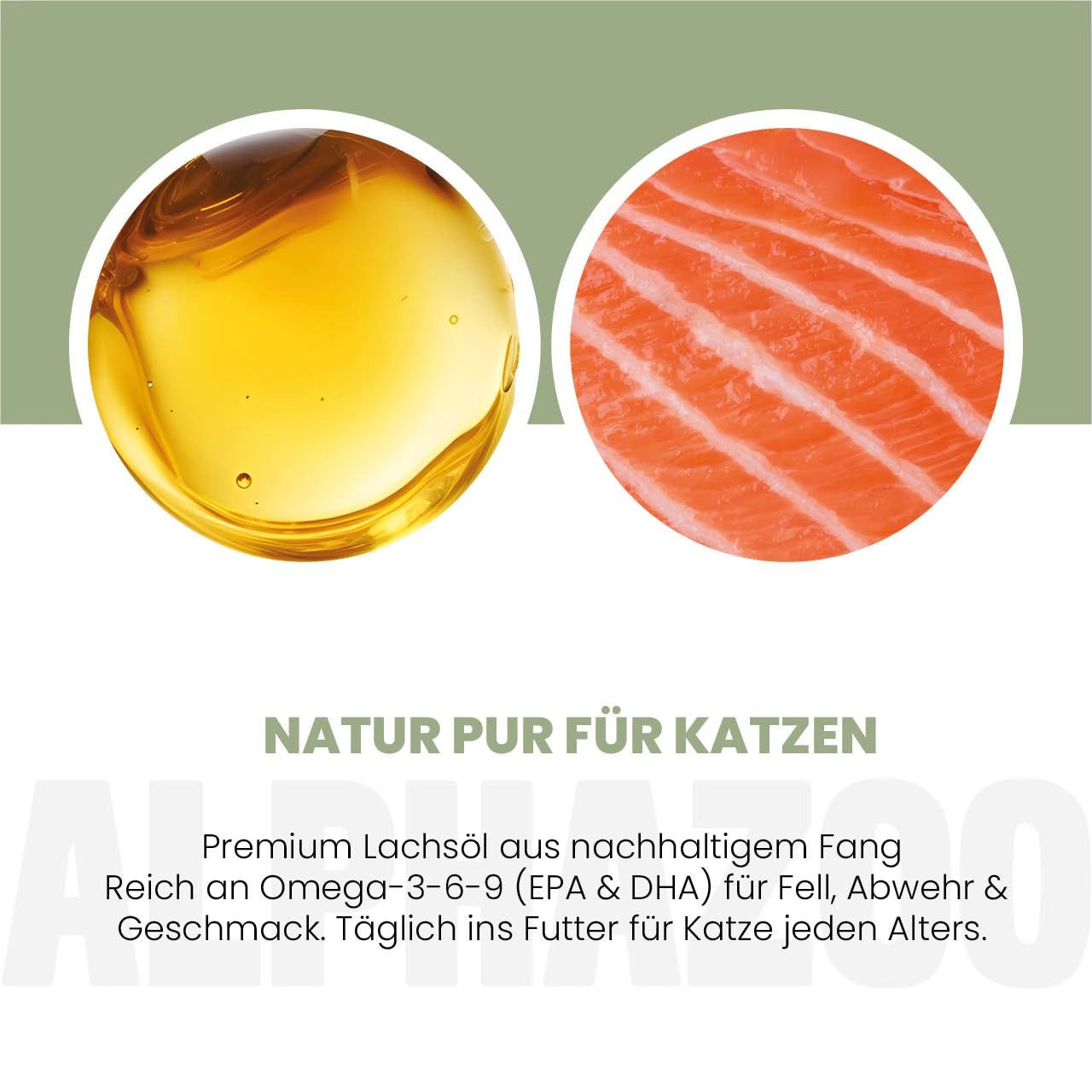 Zwei Kreise: Lachsöl und Lachs. Text: Natur pur für Katzen. Premium Lachsöl aus nachhaltigem Fang. Reich an Omega-3-6-9.