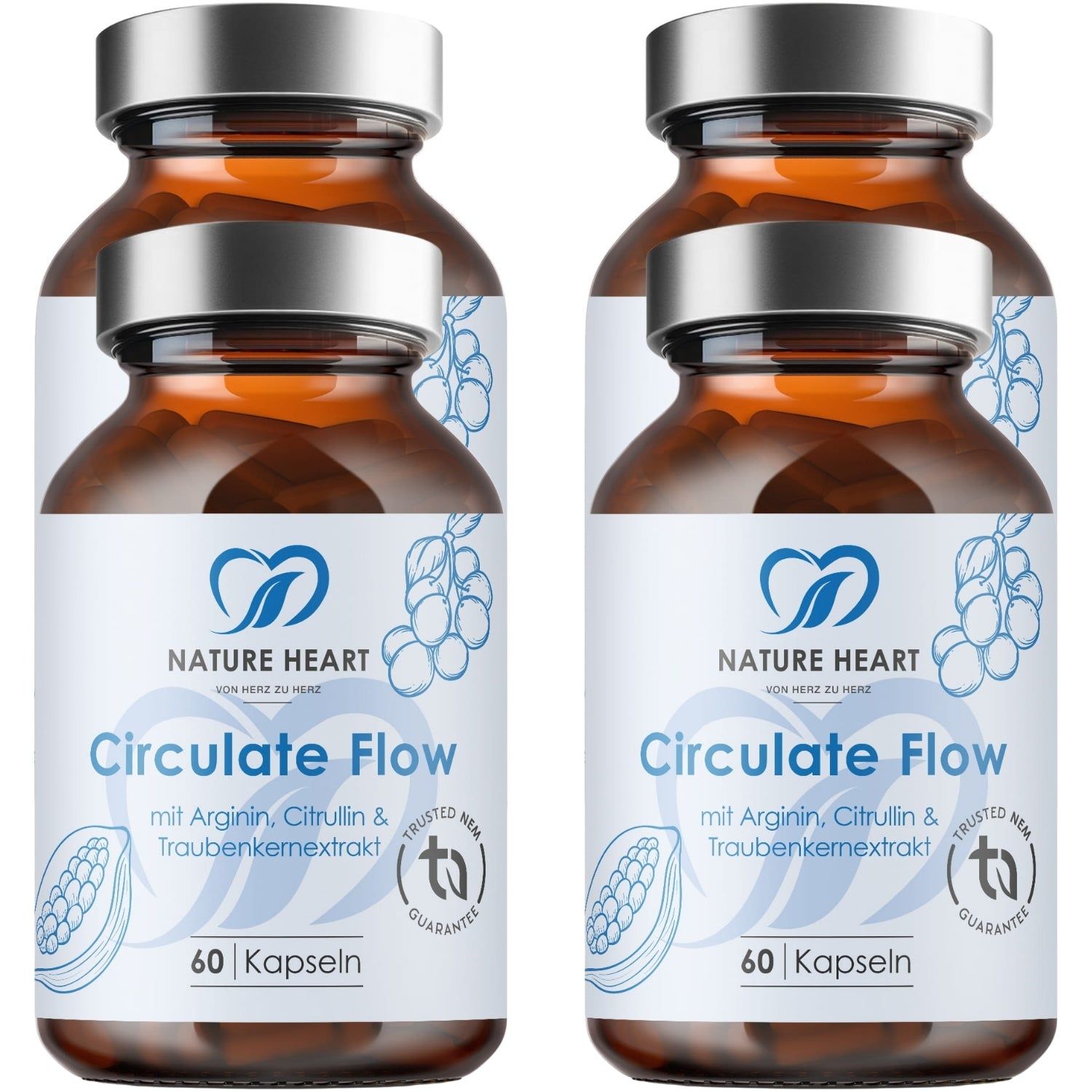Nature Heart Circulate Flow