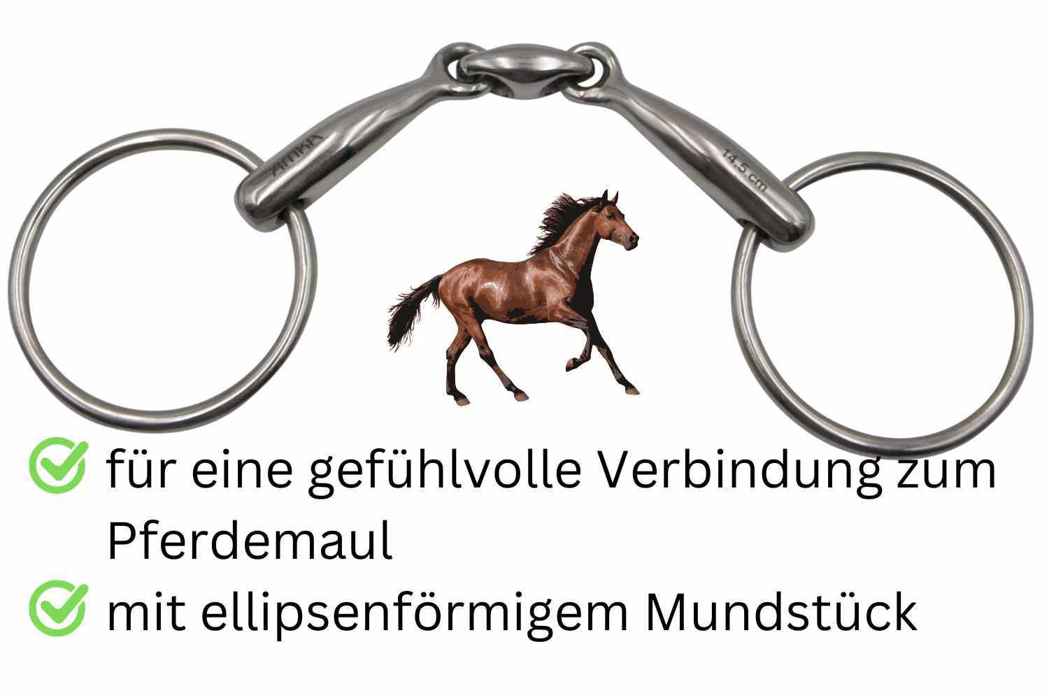 Doppelt gebrochene Wassertrense mit elliptischem Mundstück. Für gefühlvolle Verbindung zum Pferdemaul.