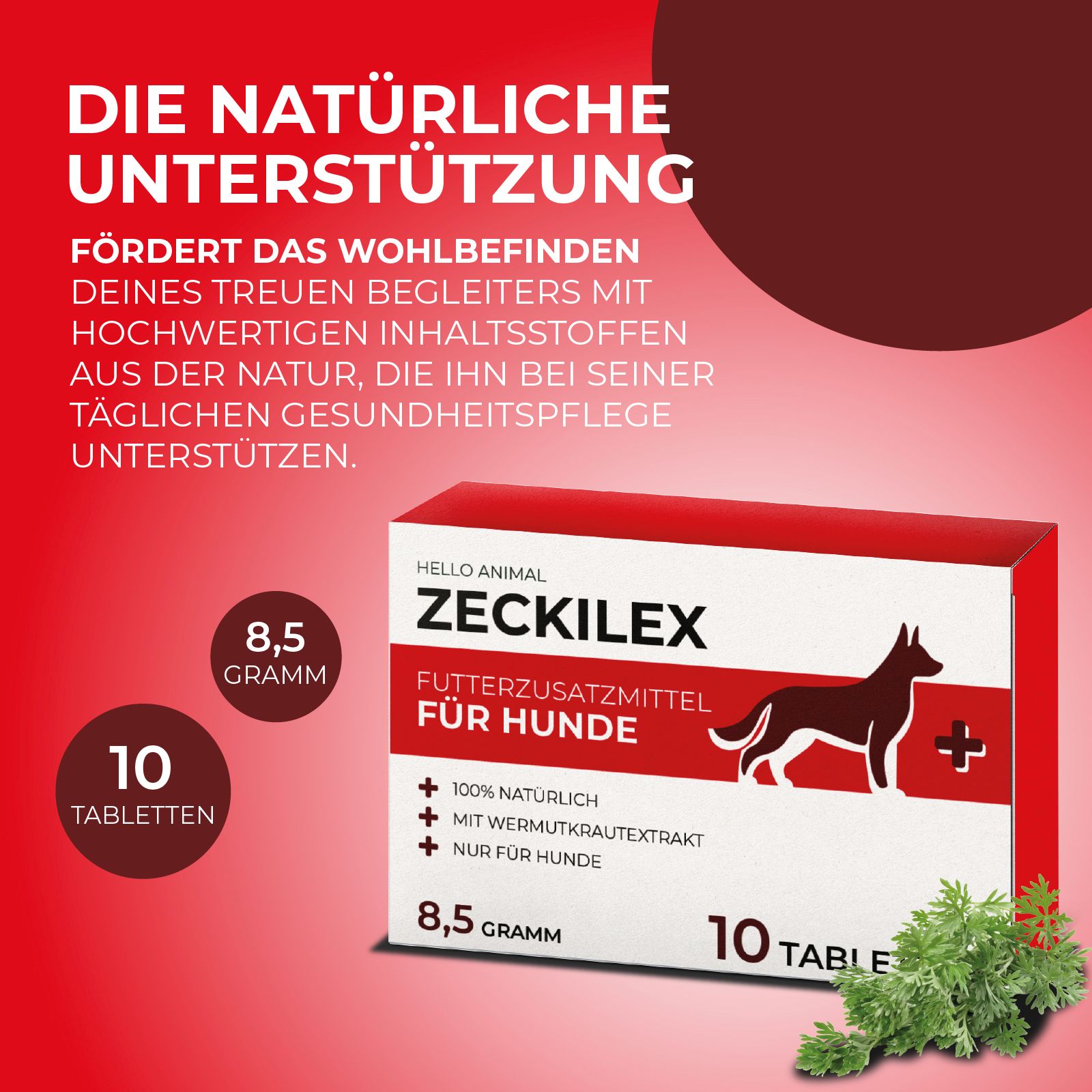 Werbebild mit "ZECKILEX"-Verpackung. Text: "Die natürliche Unterstützung". 10 Tabletten, 8,5 Gramm. Logo "Hello Animal".