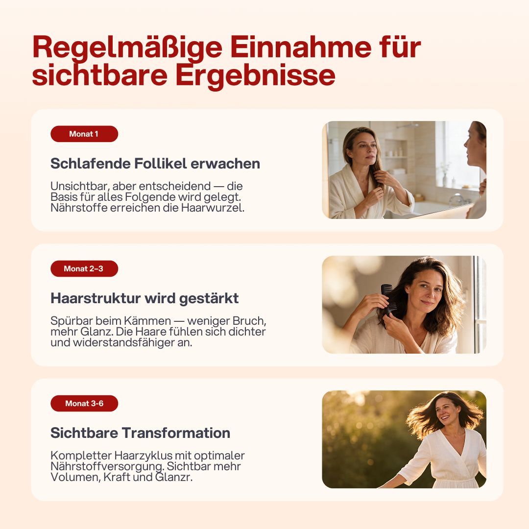 Drei Bilder zeigen Ergebnisse nach 1, 2-3 und 3-6 Monaten. Haare werden stärker und glänzender.