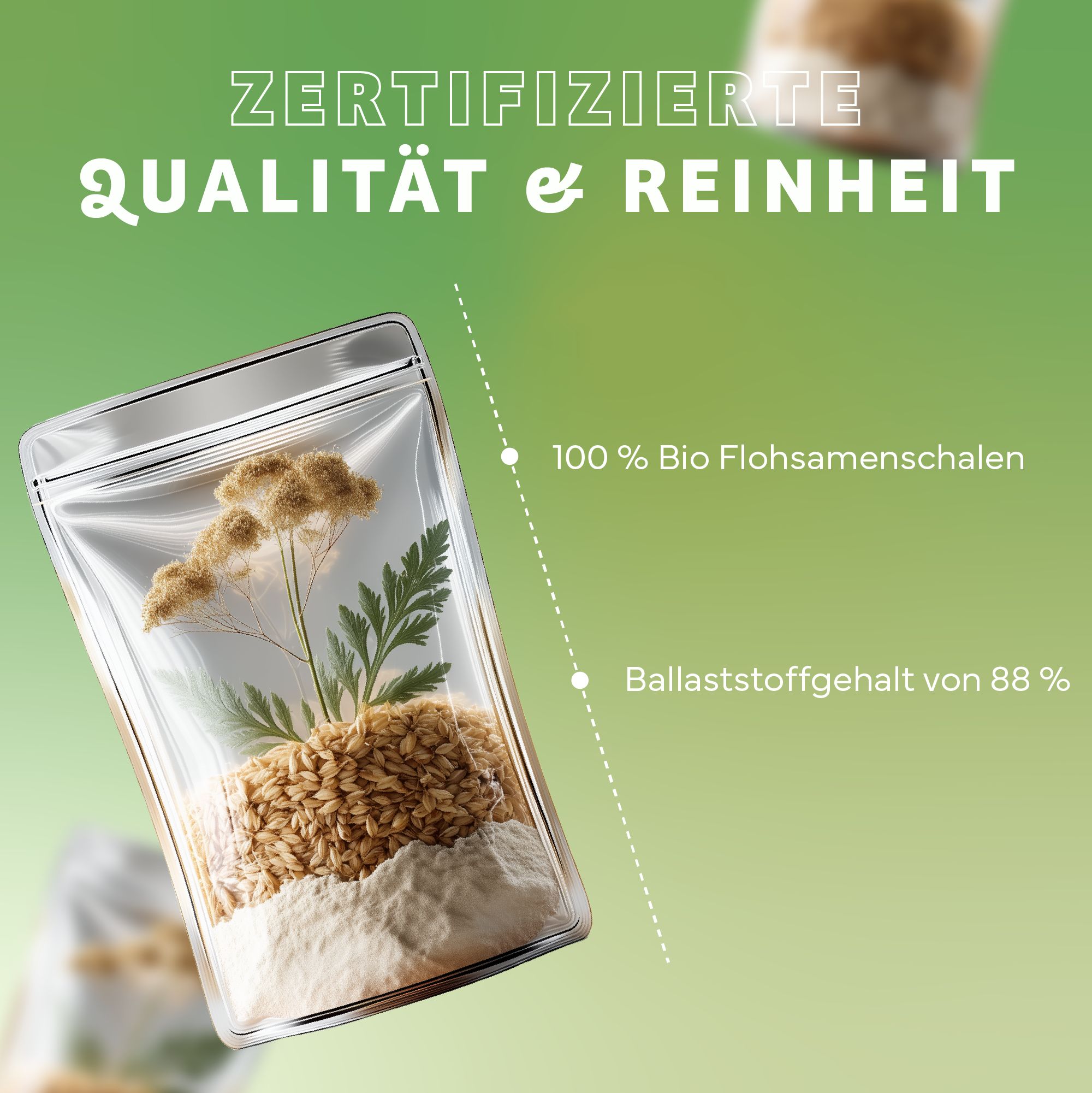 Transparente Verpackung mit Bio-Flohsamenschalen. Text: Zertifizierte Qualität & Reinheit, 100 % Bio Flohsamenschalen, 88 % Ballaststoffgehalt.