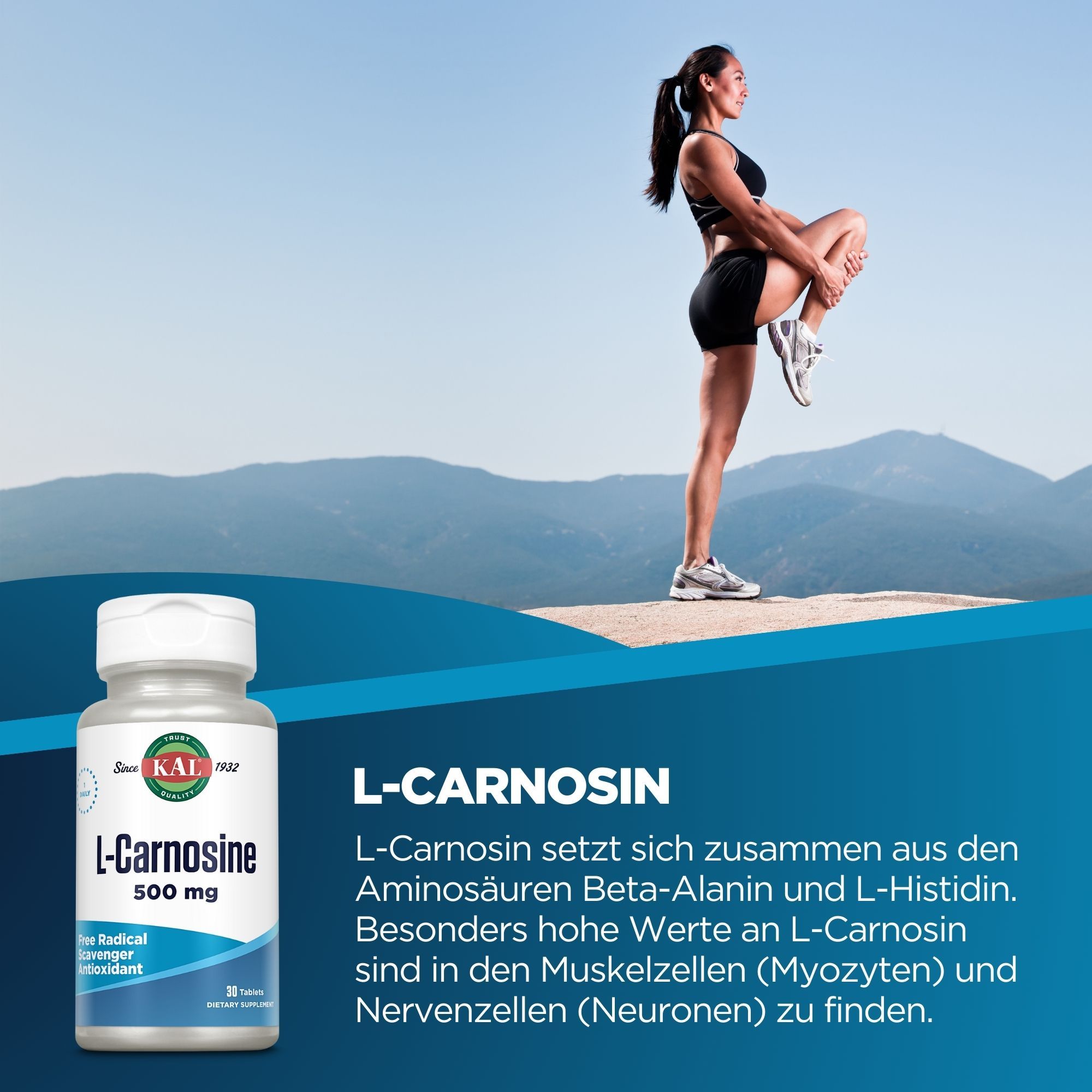 Weiße Flasche mit L-Carnosin 500mg. Frau beim Dehnen im Hintergrund. Blaue und grüne Farbgebung.