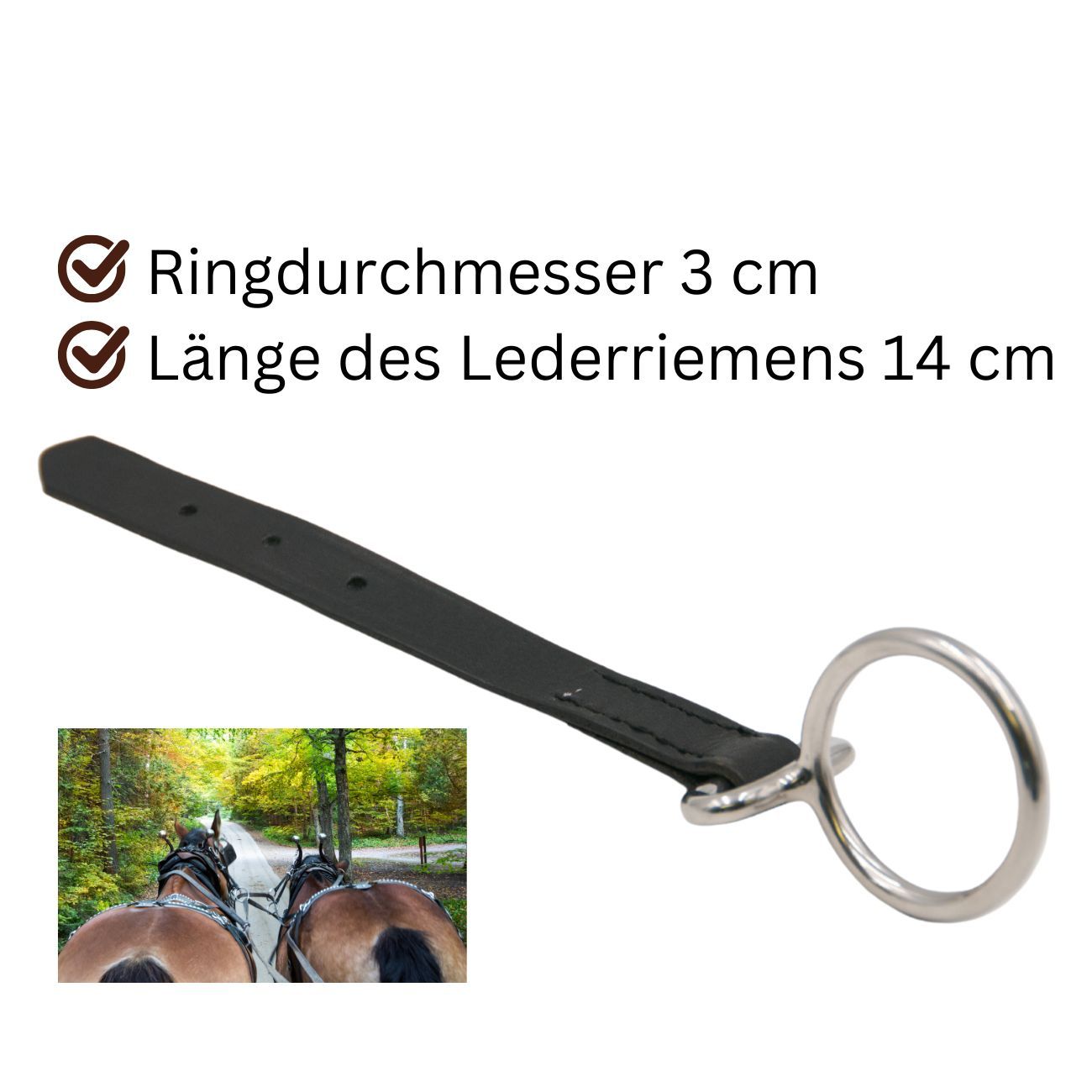 Leinenführungsring mit schwarzem Lederriemen. Ringdurchmesser 3 cm, Riemenlänge 14 cm. Abbildung mit Pferden im Wald.