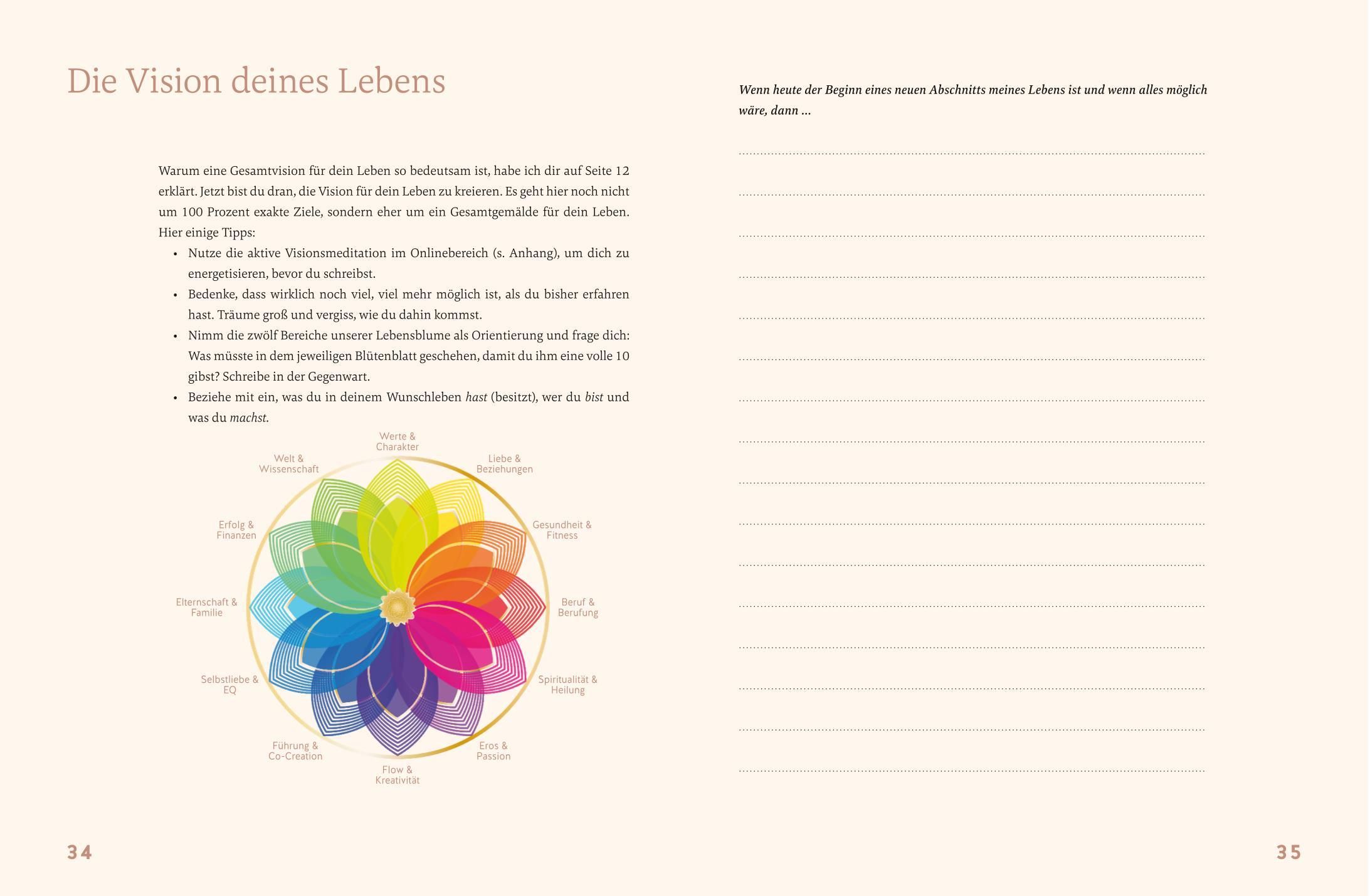 Buchseite mit Text in deutscher Sprache. Überschrift: Die Vision deines Lebens. Farbiges Diagramm mit Text.