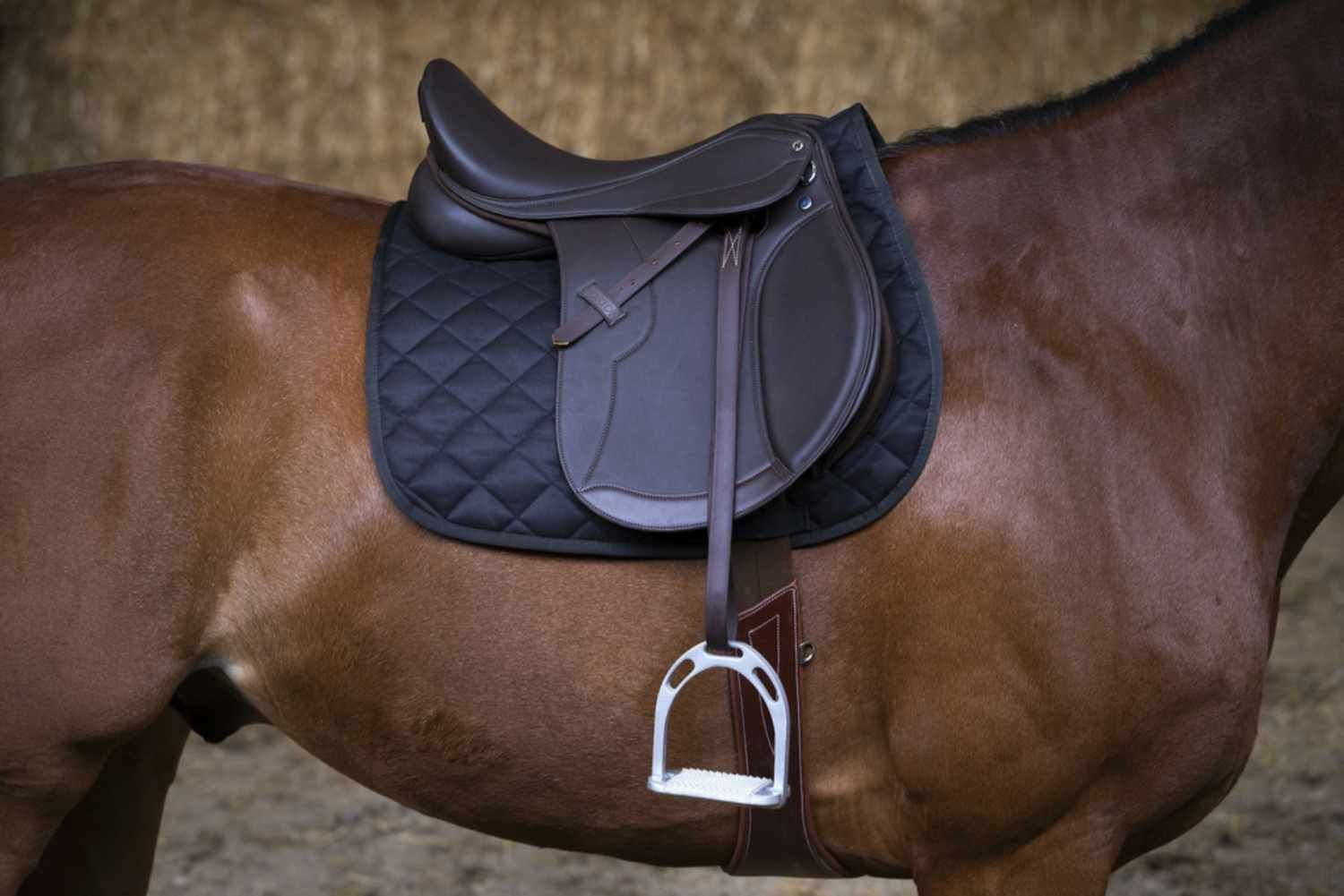 Brauner Sattel auf einem Pferd. Mit Steigbügel und Satteldecke.
