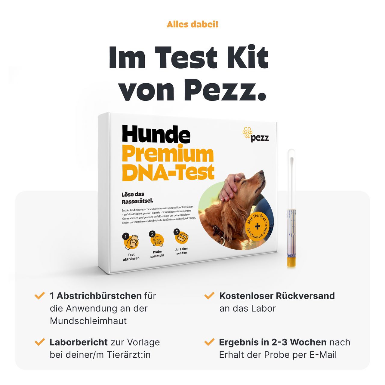 Box mit "Hunde Premium DNA-Test". Enthält Abstrichbürste, Rückversand, Ergebnis in 2-3 Wochen. Logo "pezz".