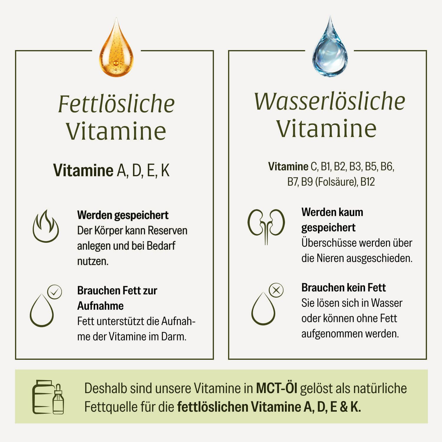 Vergleich von fettlöslichen und wasserlöslichen Vitaminen mit Icons und Erklärungen.