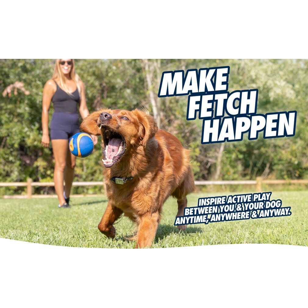 Hund fängt einen blauen und gelben Ball. Frau im Hintergrund. Text: Make Fetch Happen.