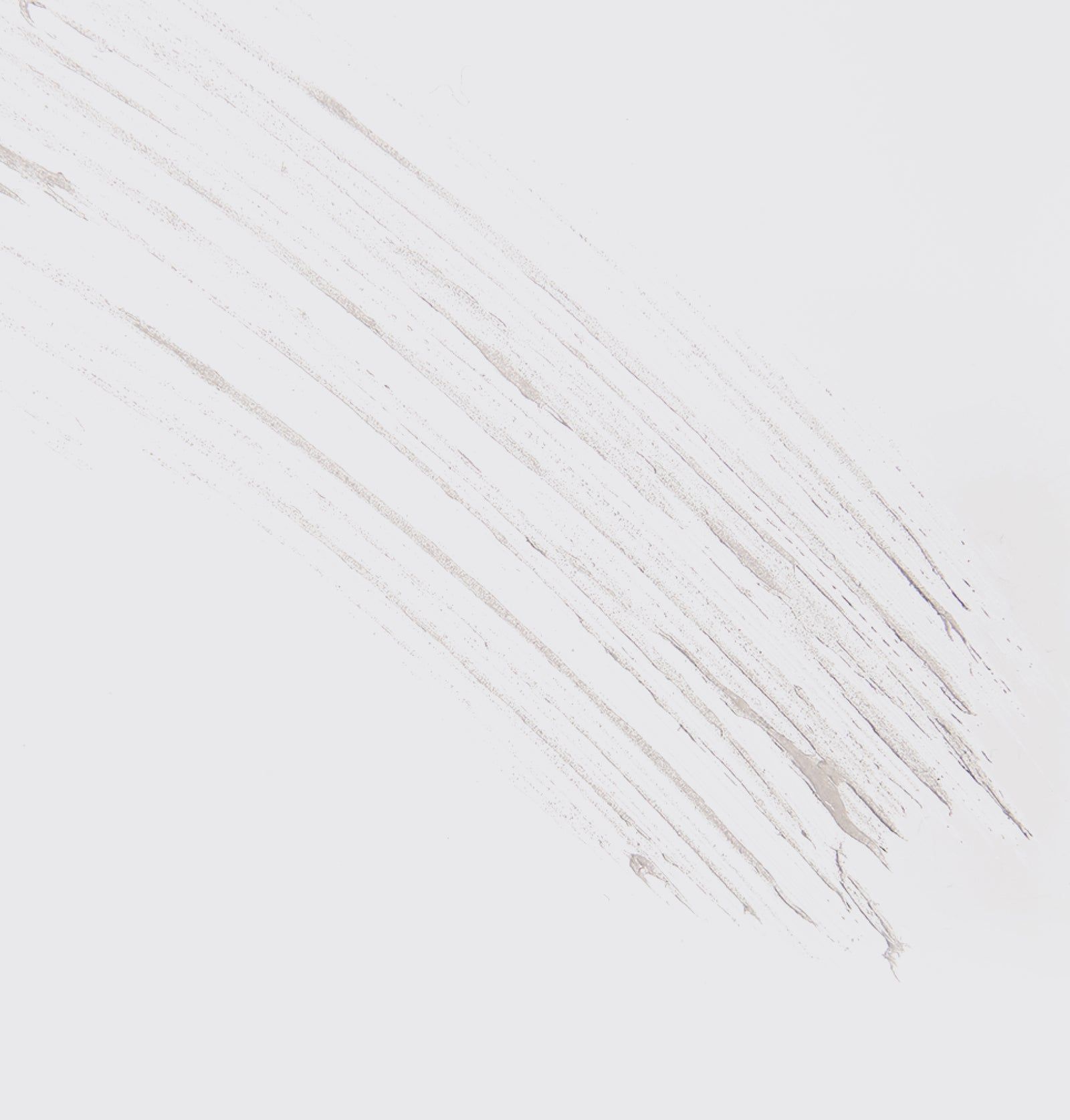 Weißer Strich, vermutlich Augenbrauengel, auf weißem Hintergrund. Textur sichtbar.